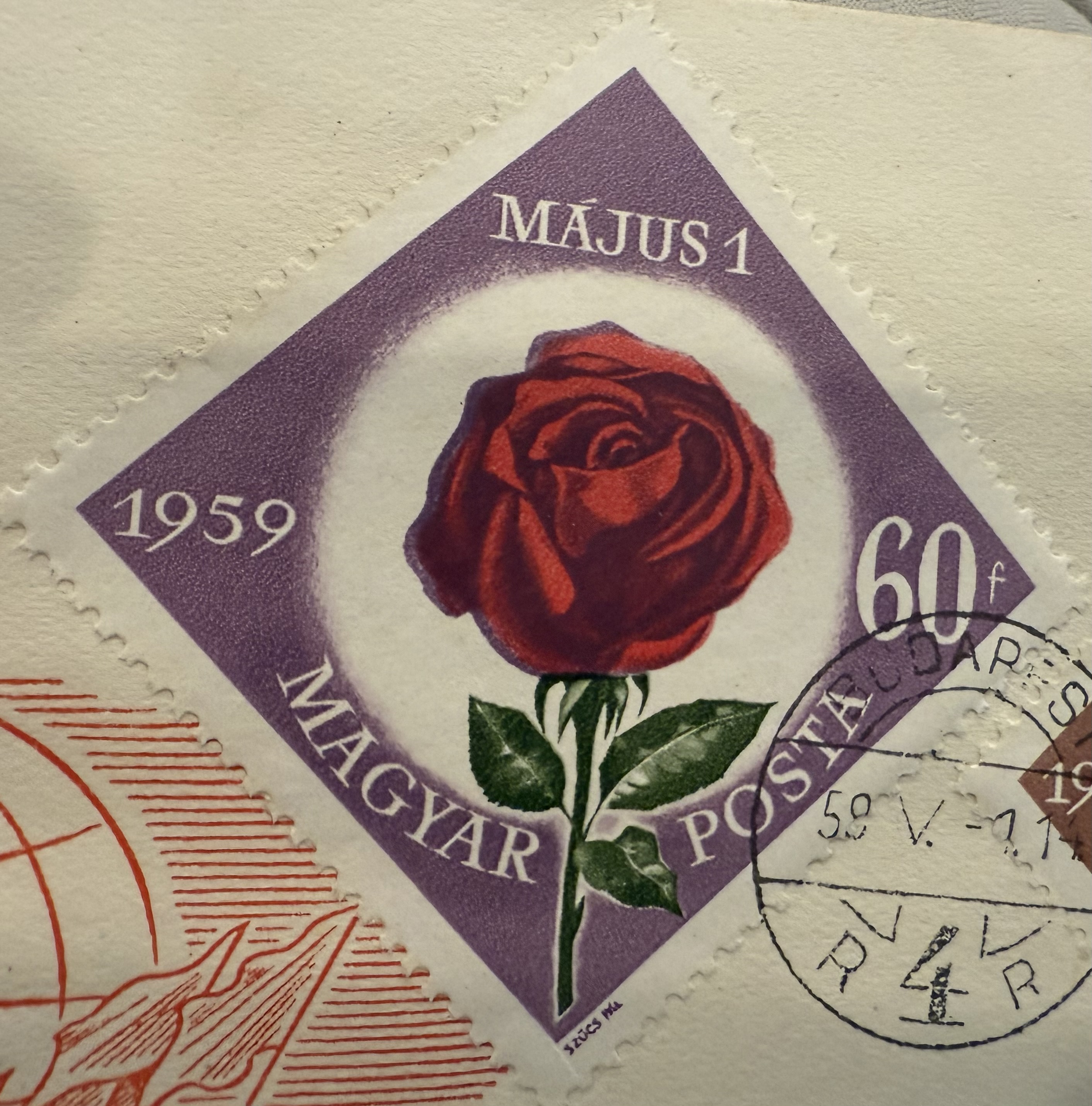 Hungary Diamond Rose 2