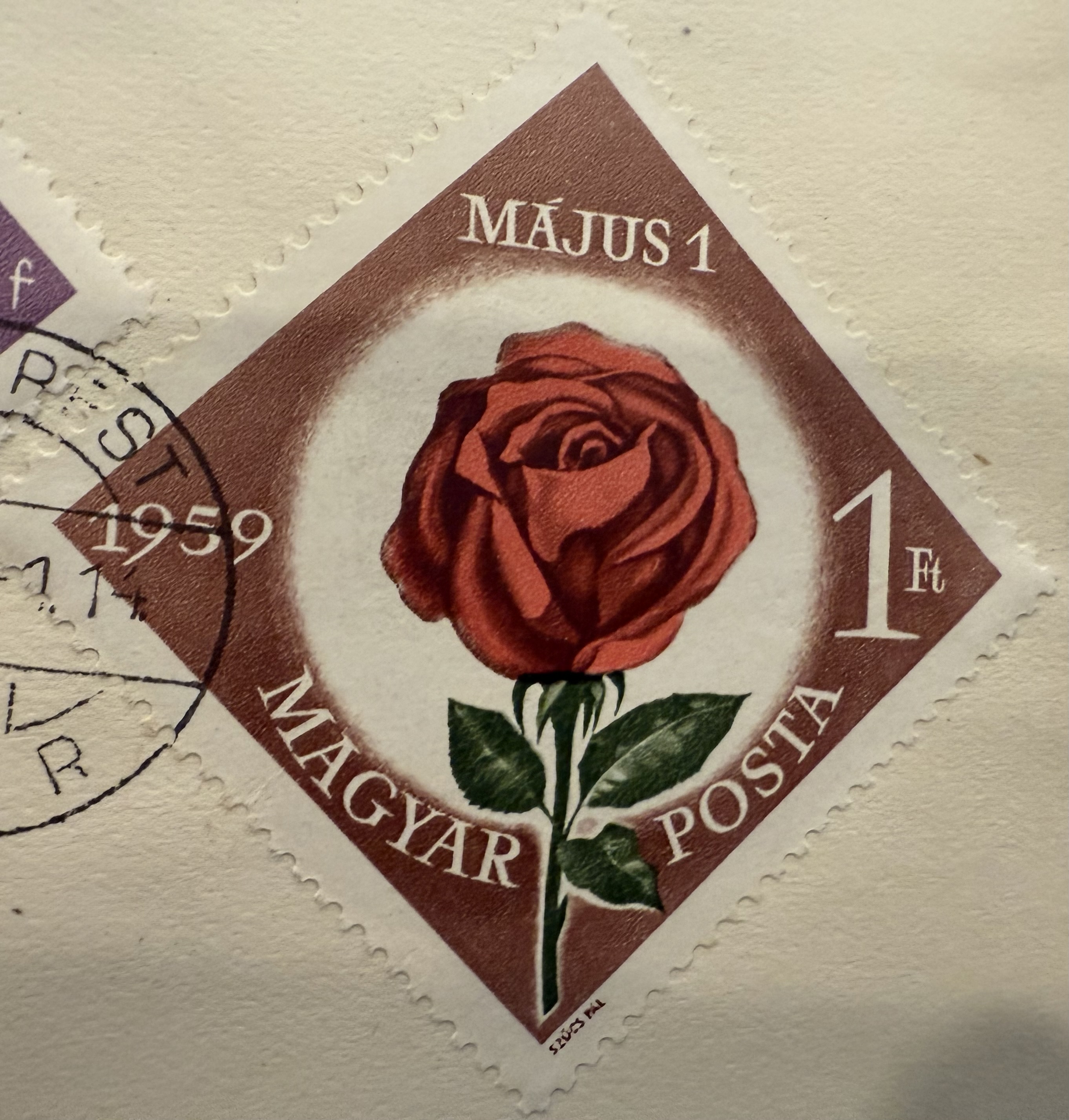 Hungary Diamond Rose 1