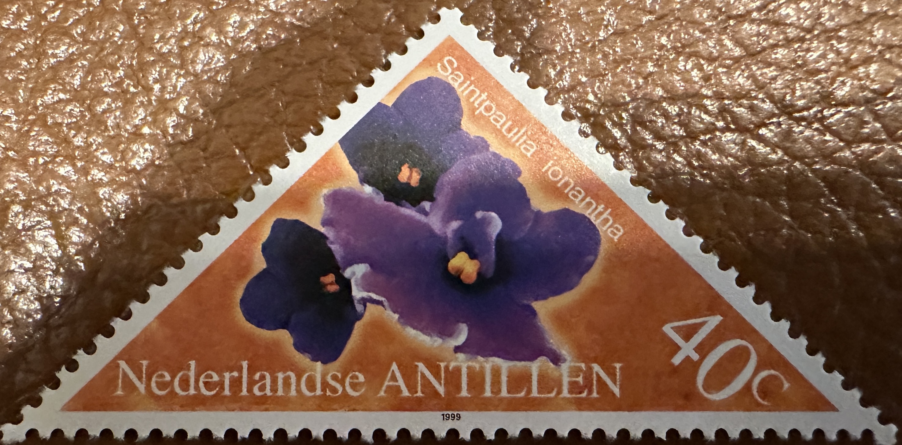 Antilles Flowers 8