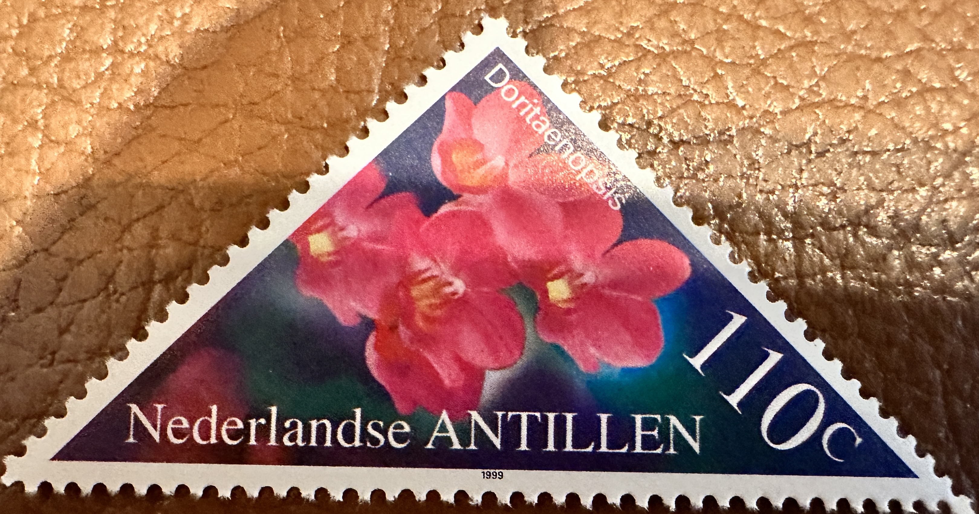 Antilles Flowers 7