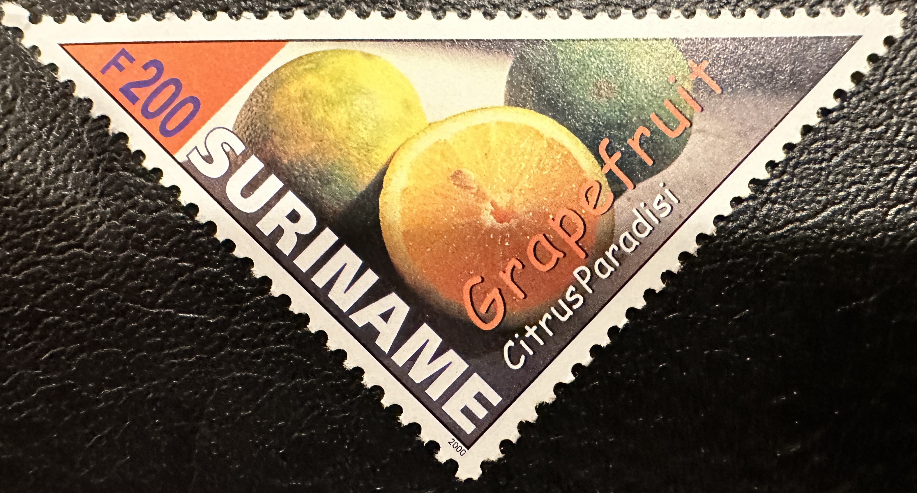 Suriname Fruit 10