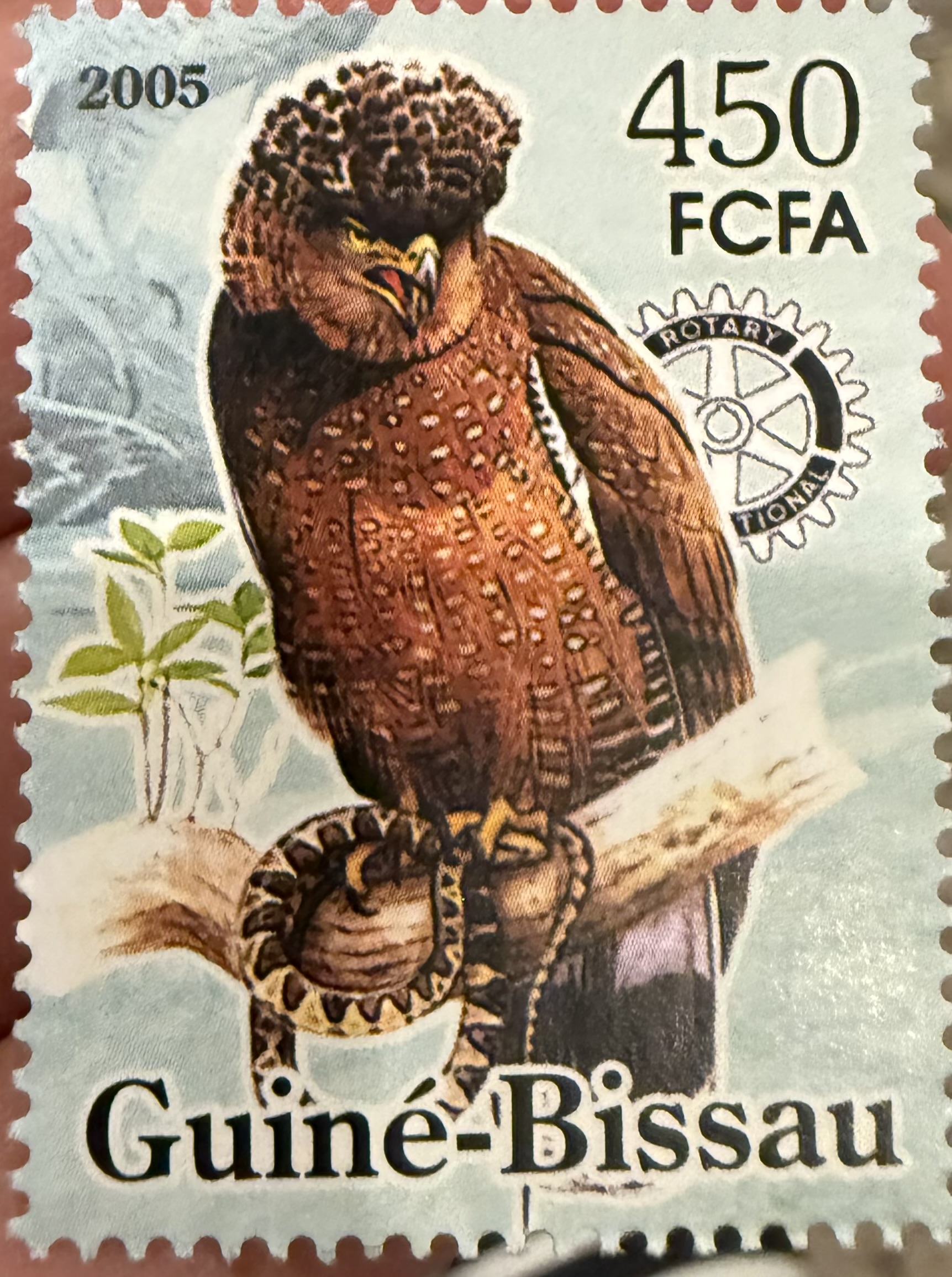 Crescent Serpent Eagle