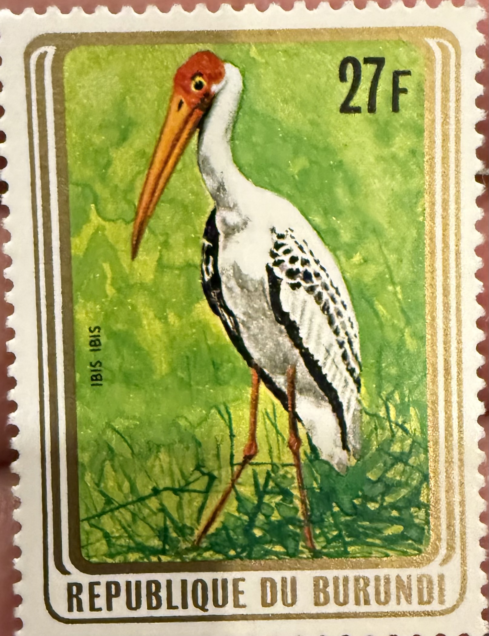 Yellow Billed Stork