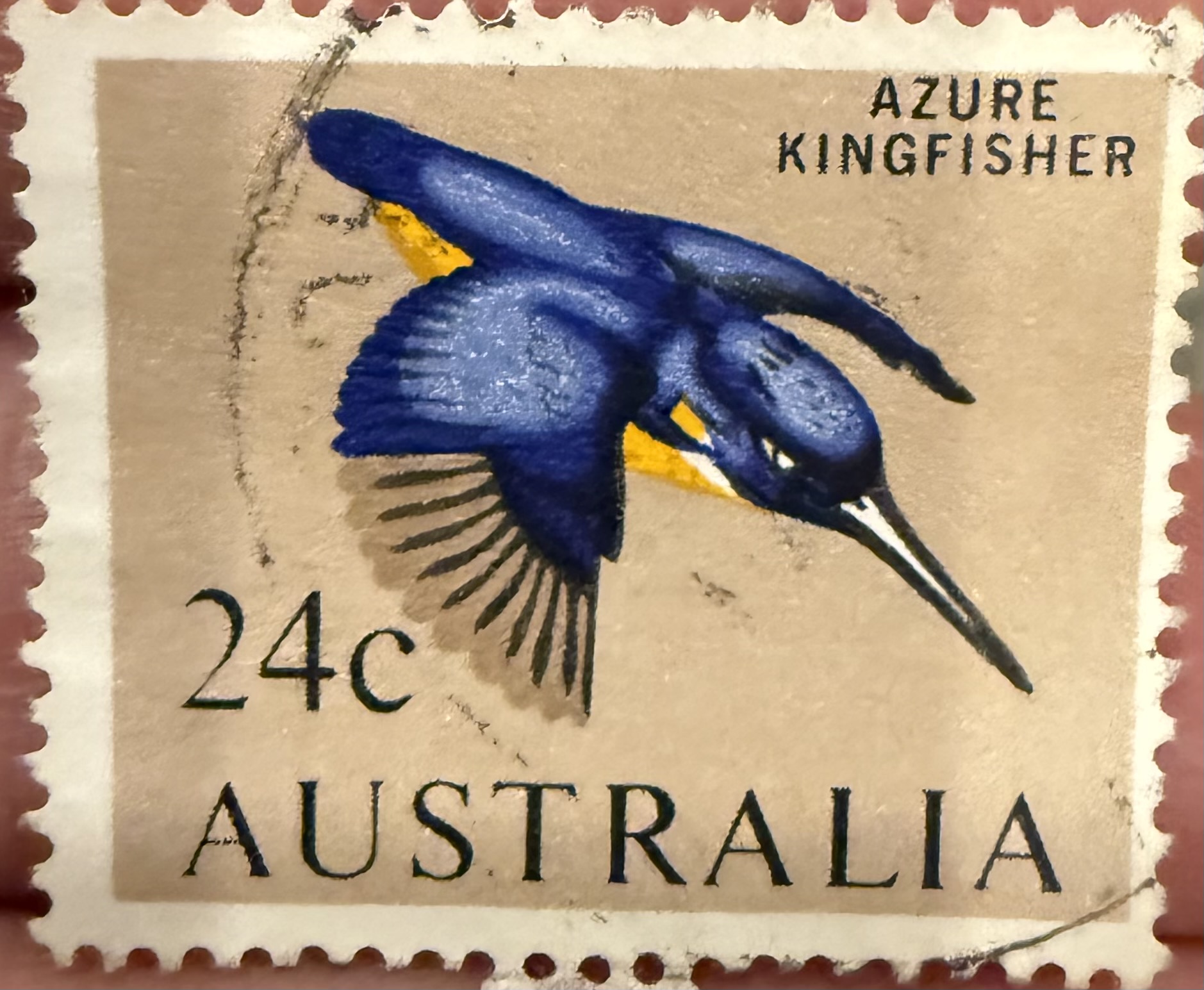 Azure Kingfisher
