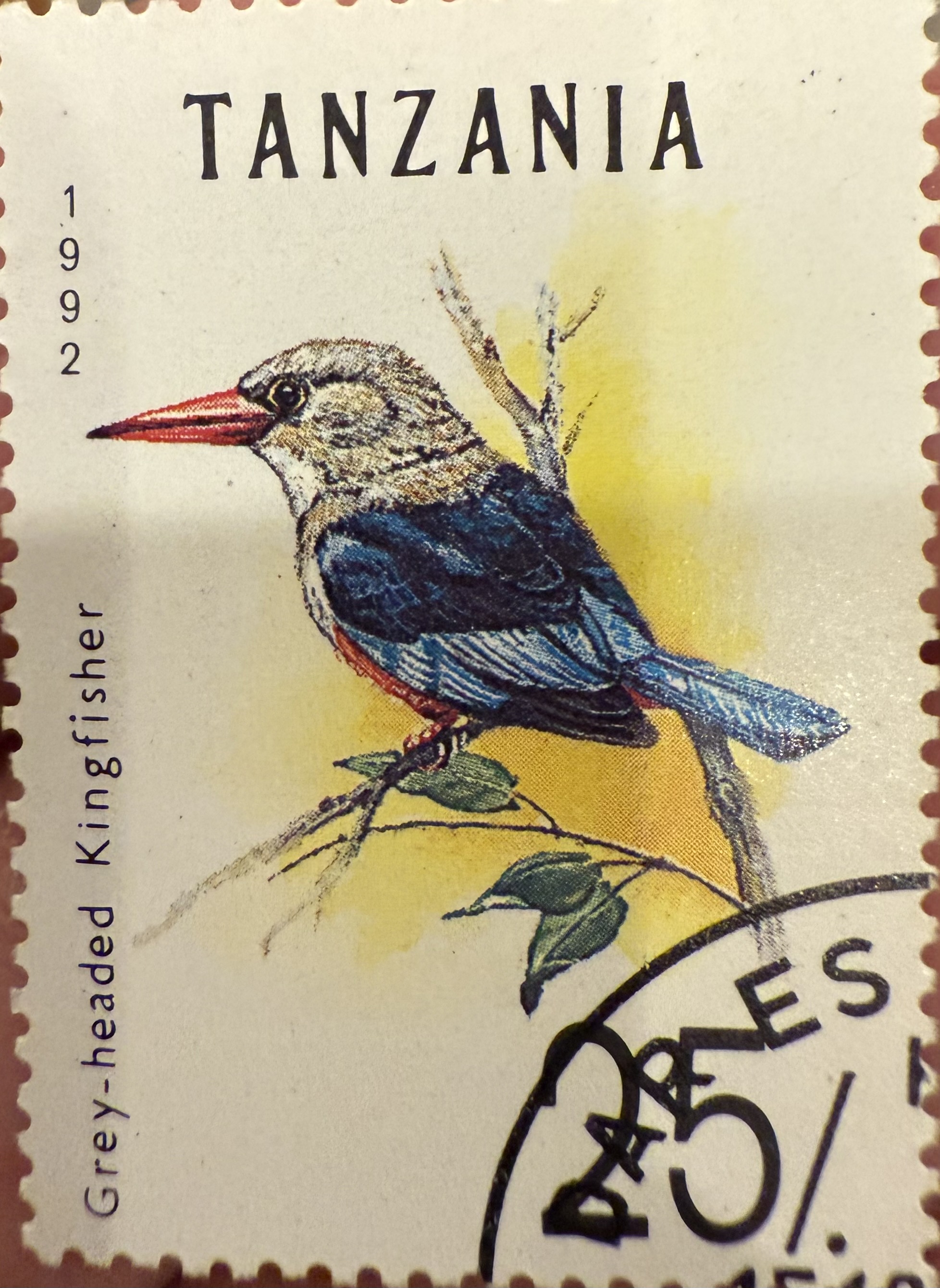 Grey Headed Kingfisher 1992