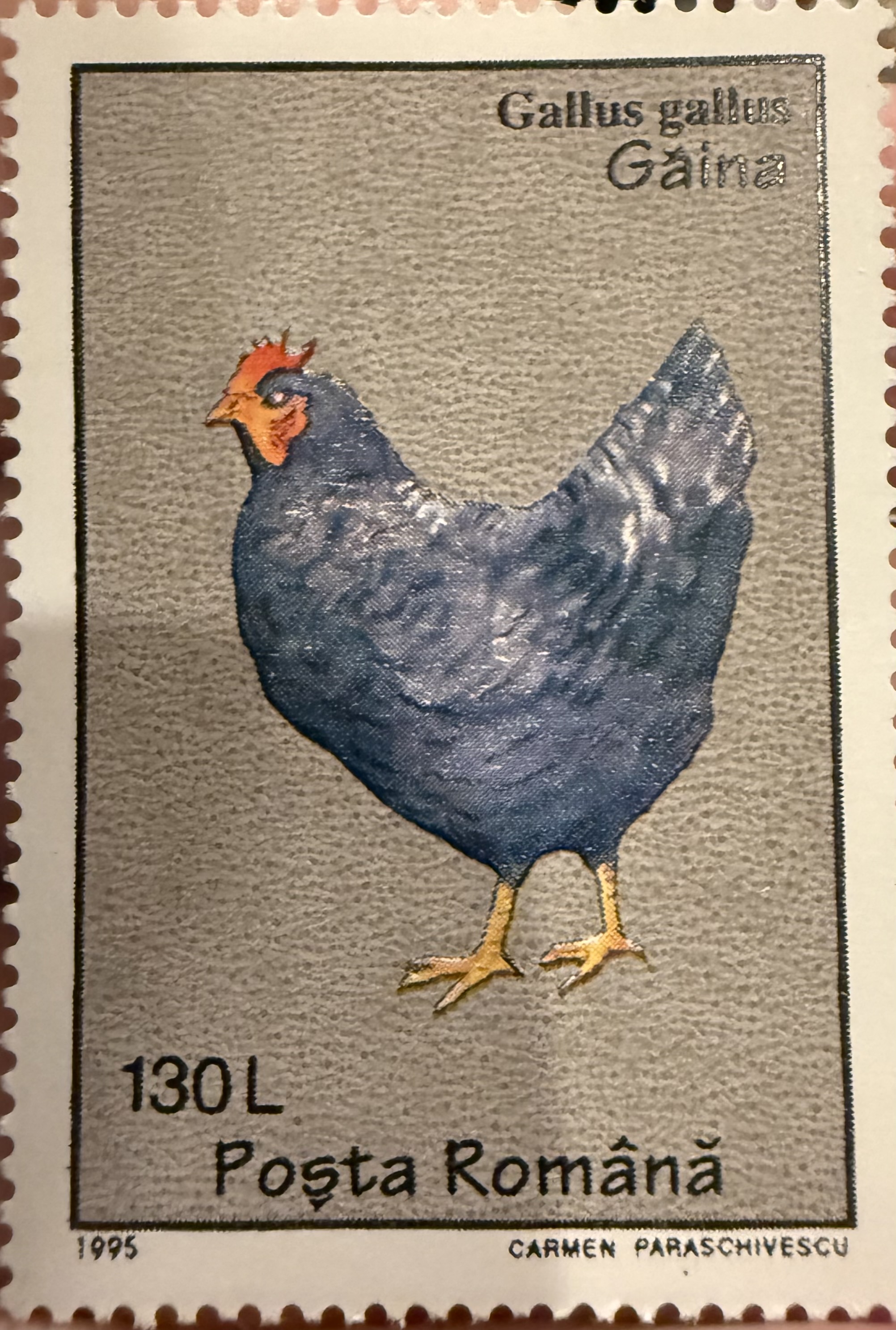 Hen ( Romania)