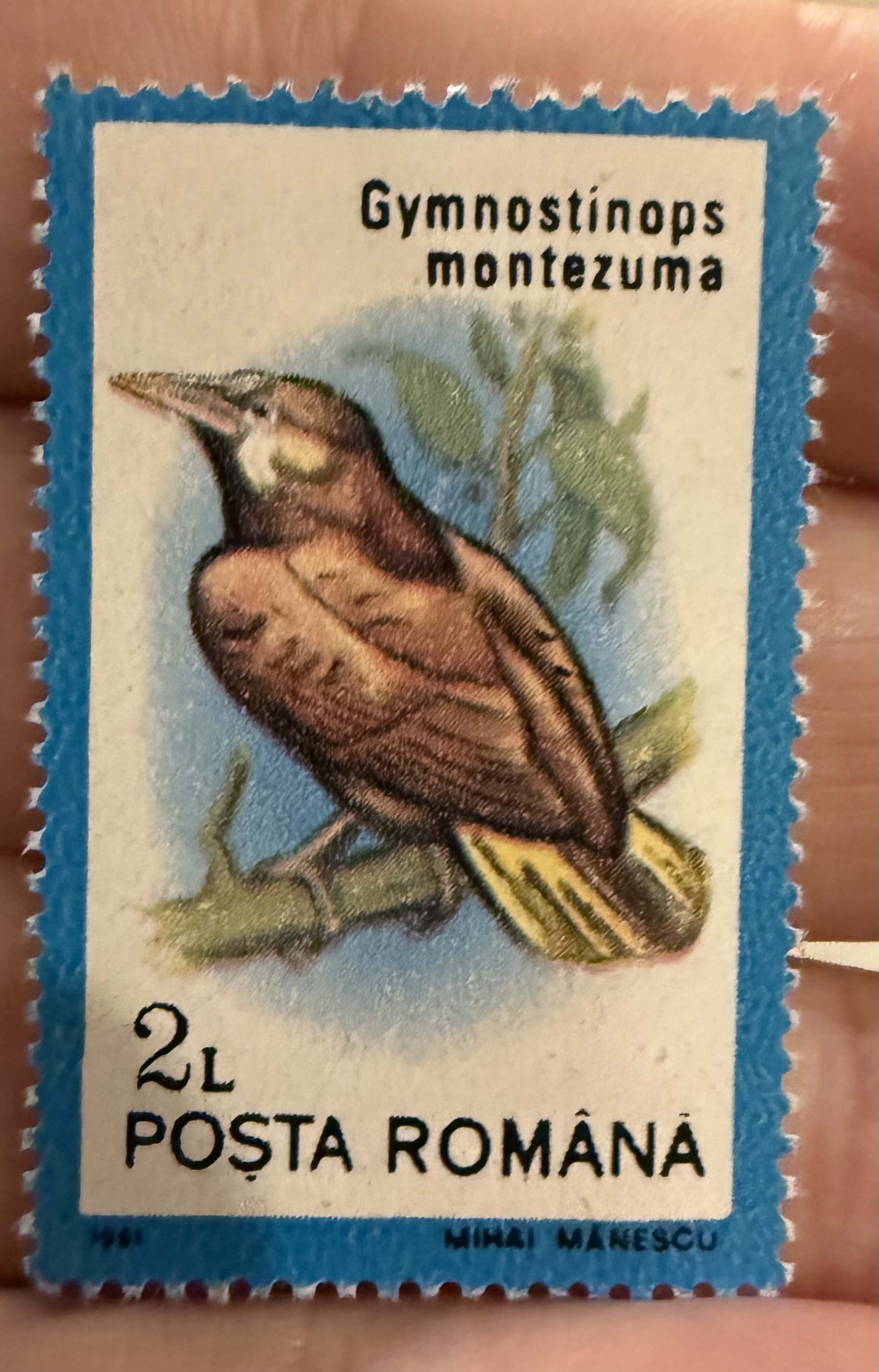 Motezuma Orependala