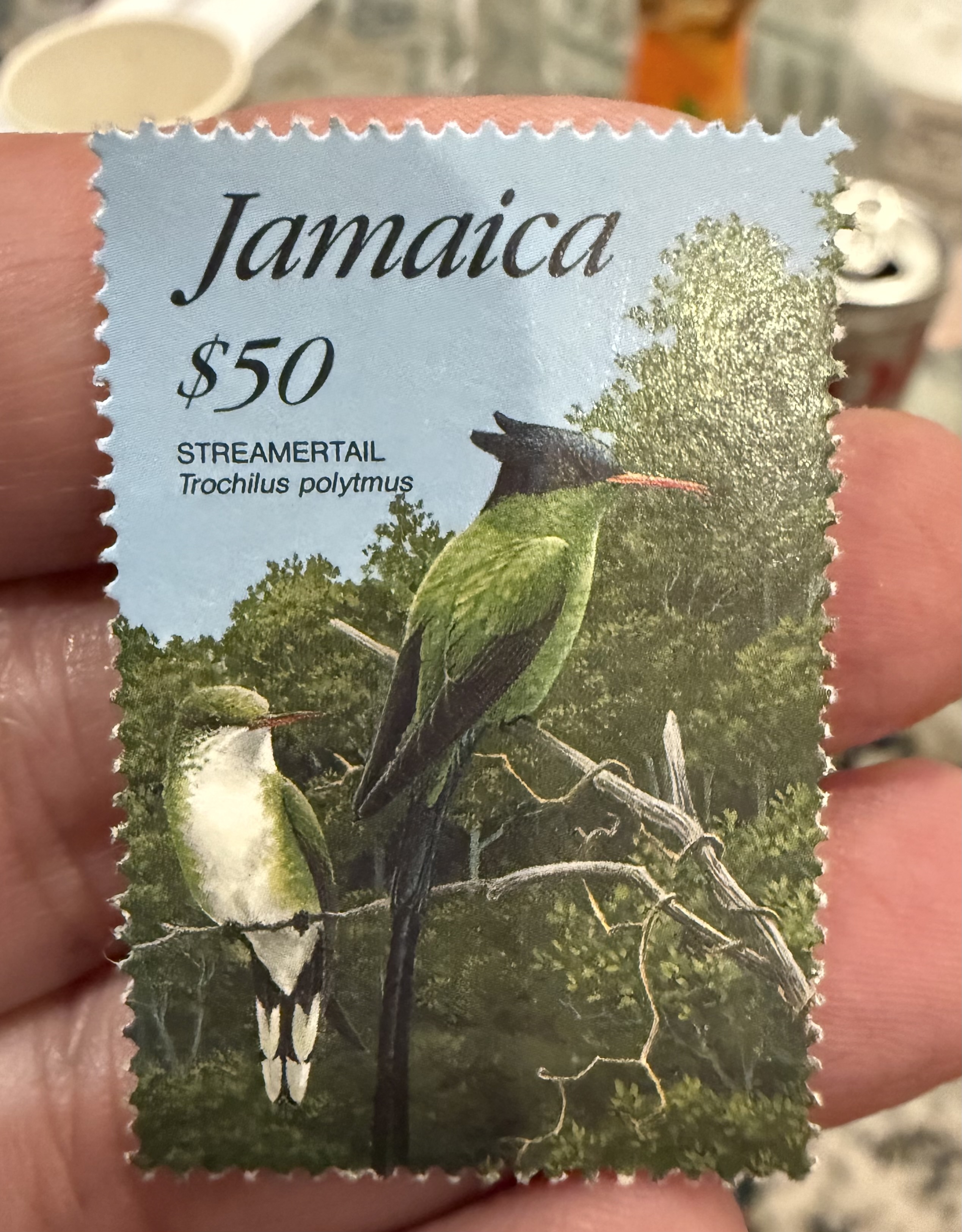 Red Billed Streamertail