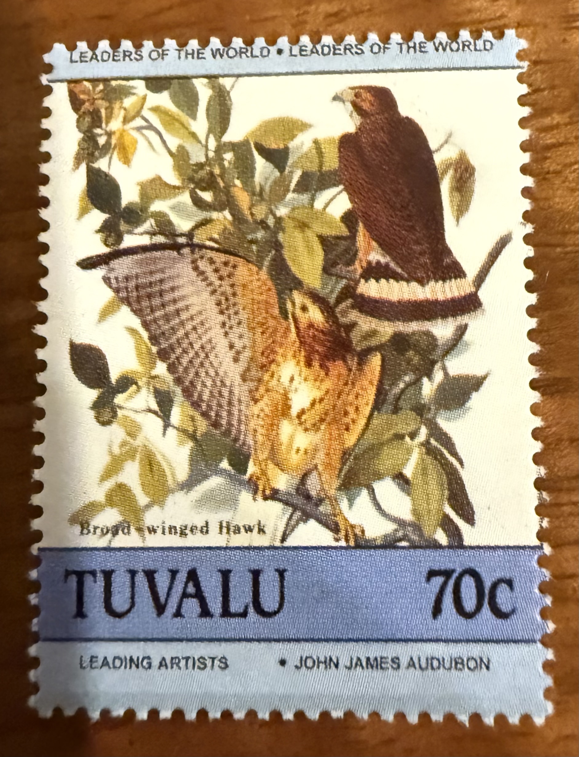 Northern Harrier ( Tuvalu)