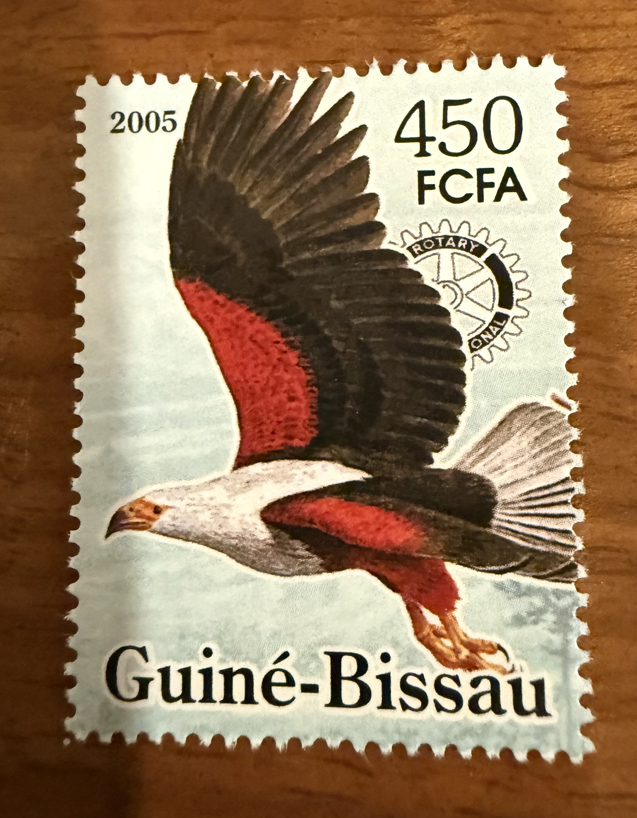 African Fish Eagle (GB)