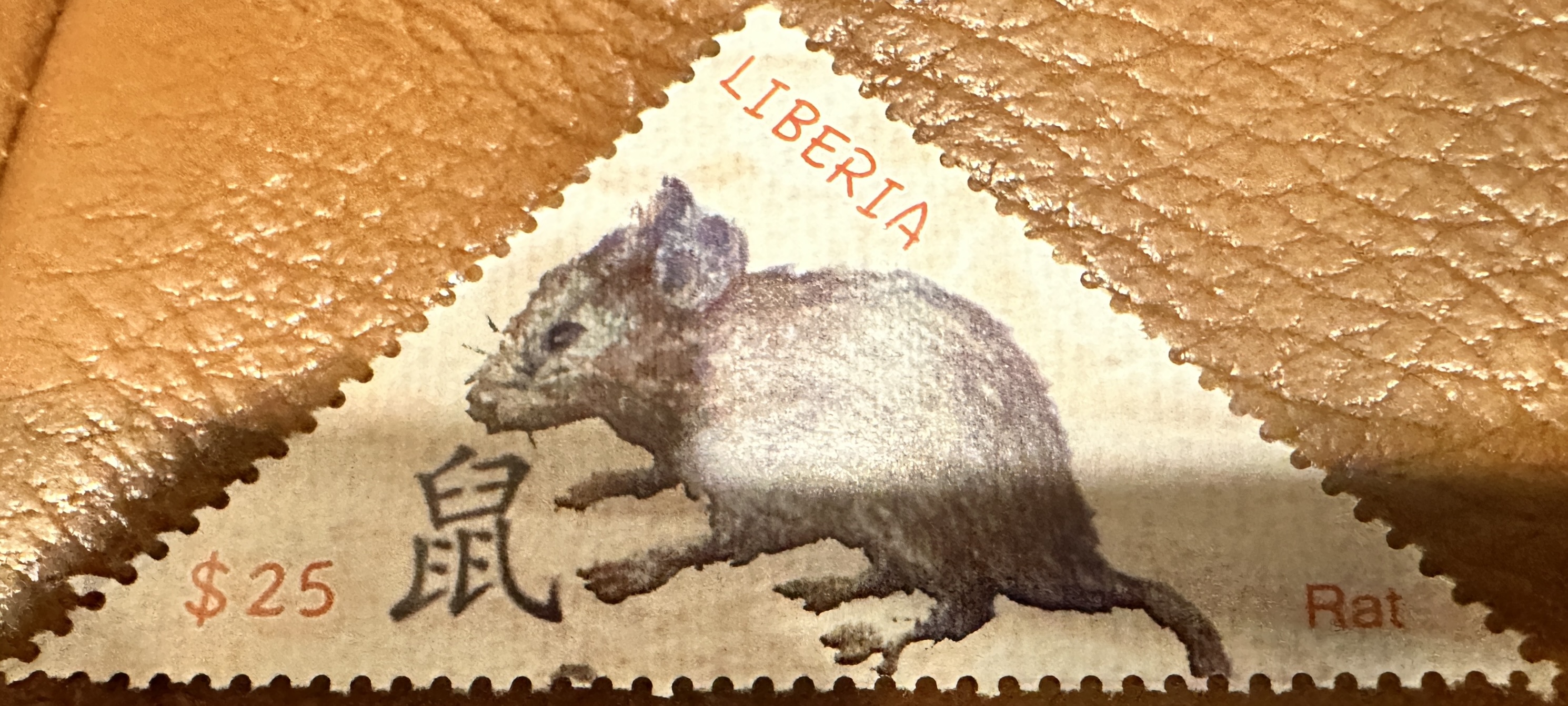 Liberia Rat