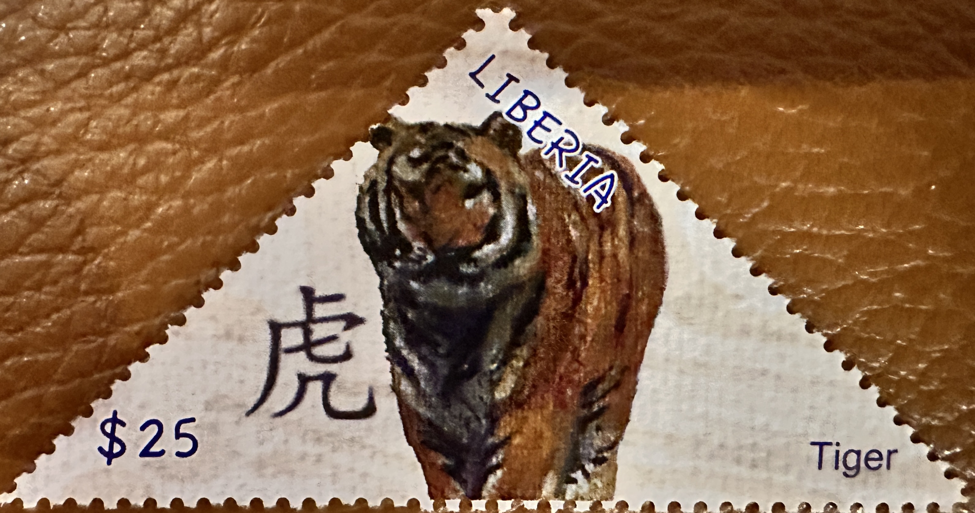 Liberia Tiger