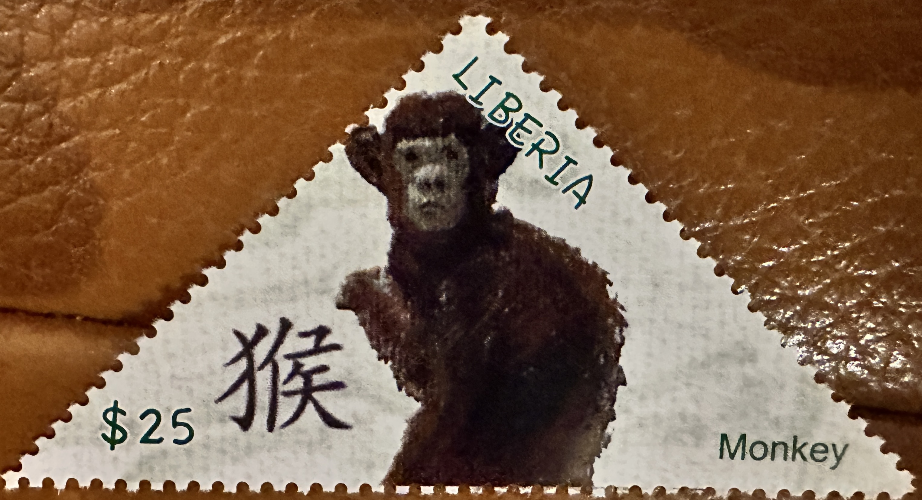 Liberia Monkey