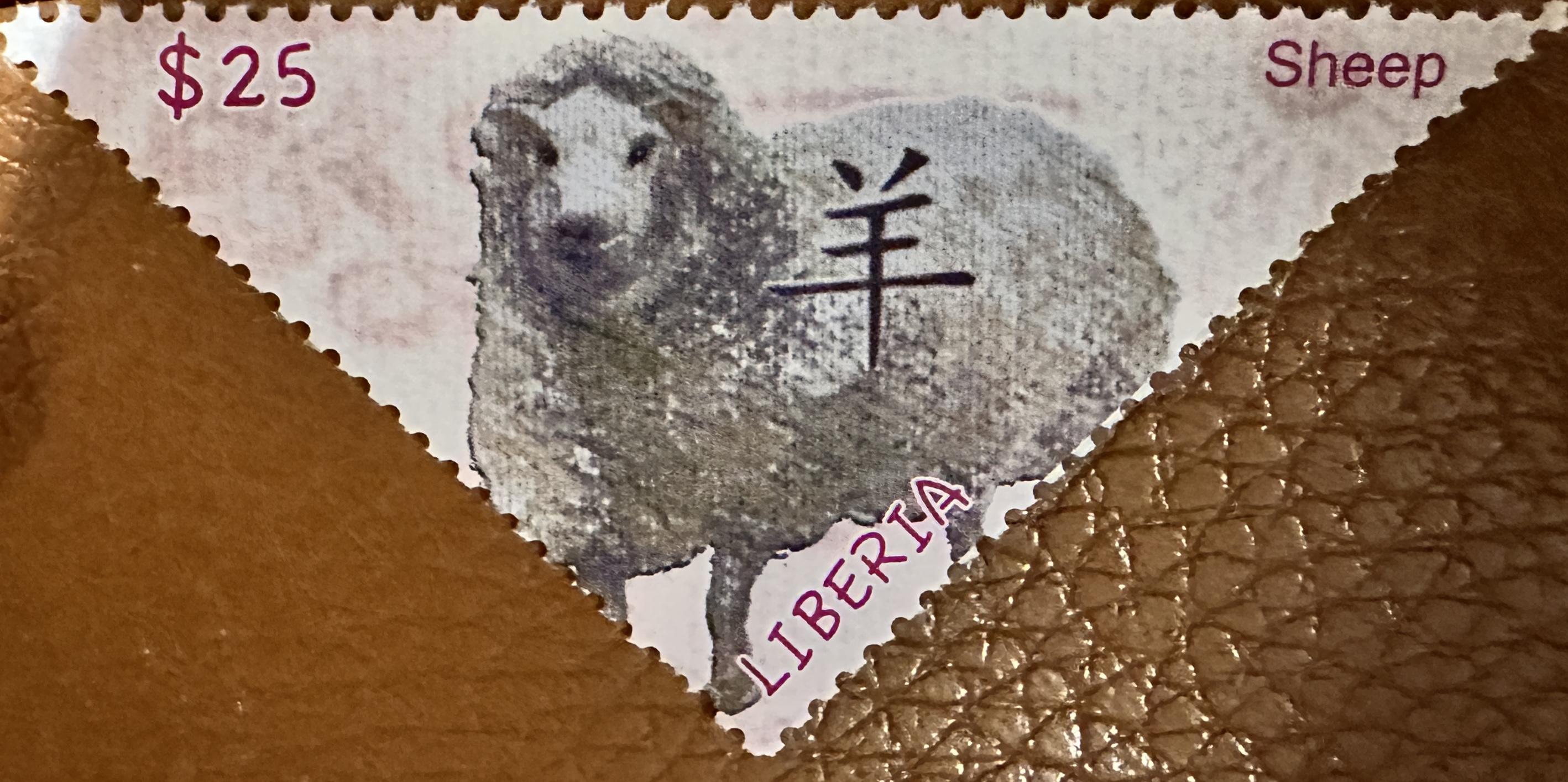 Liberia Sheep