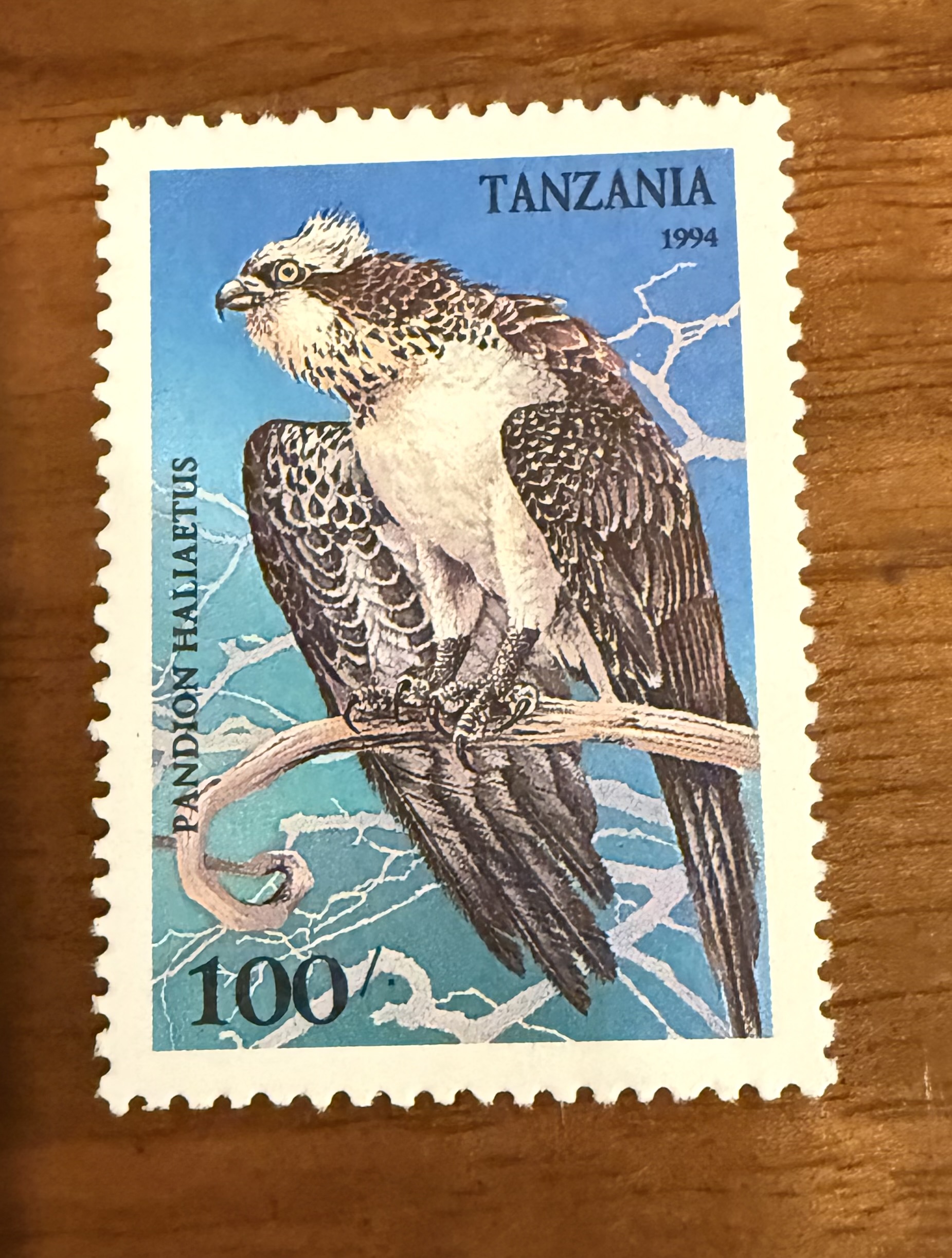 Osprey ((Tanzania)