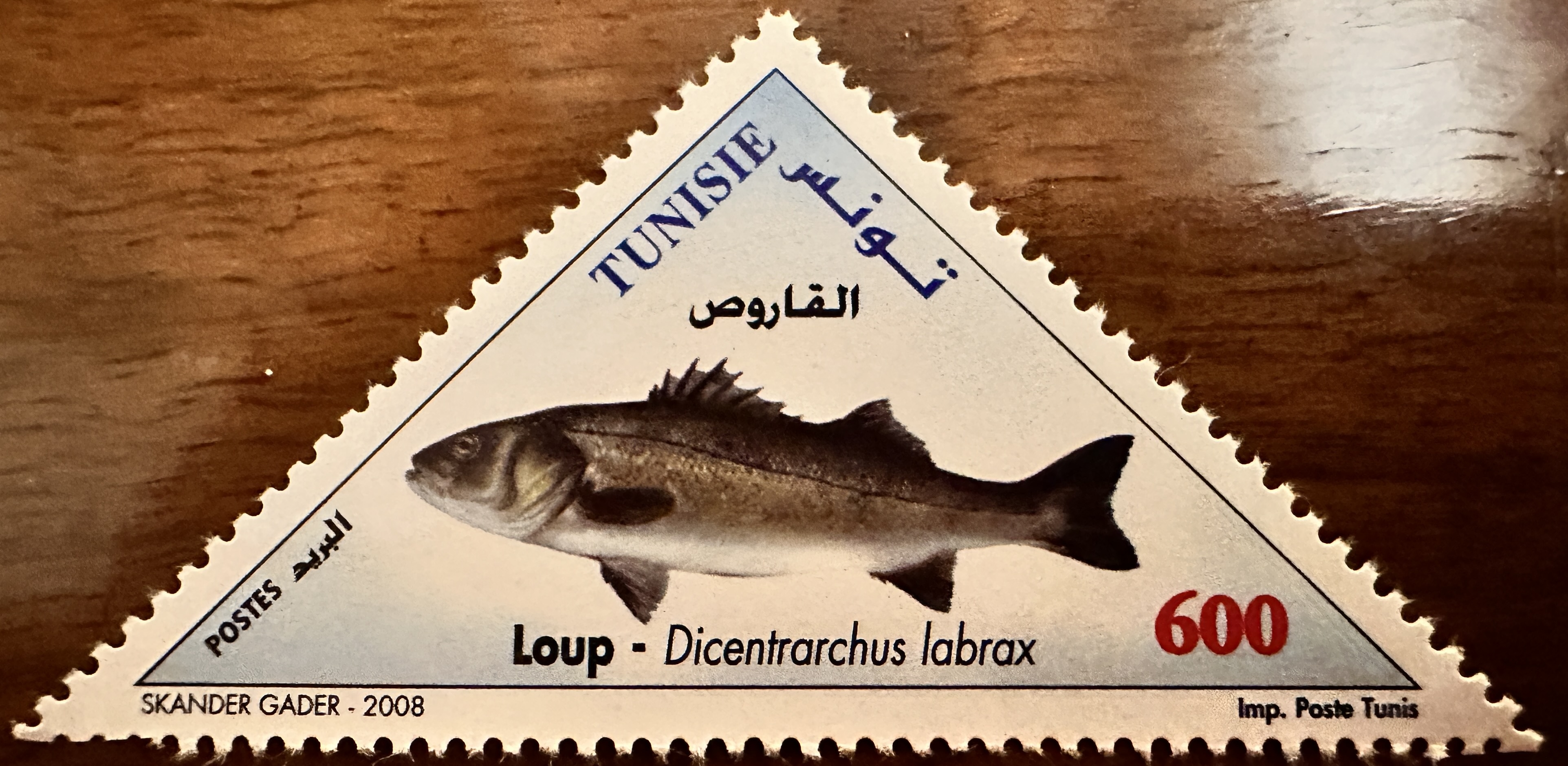 Tunisia Fish 3