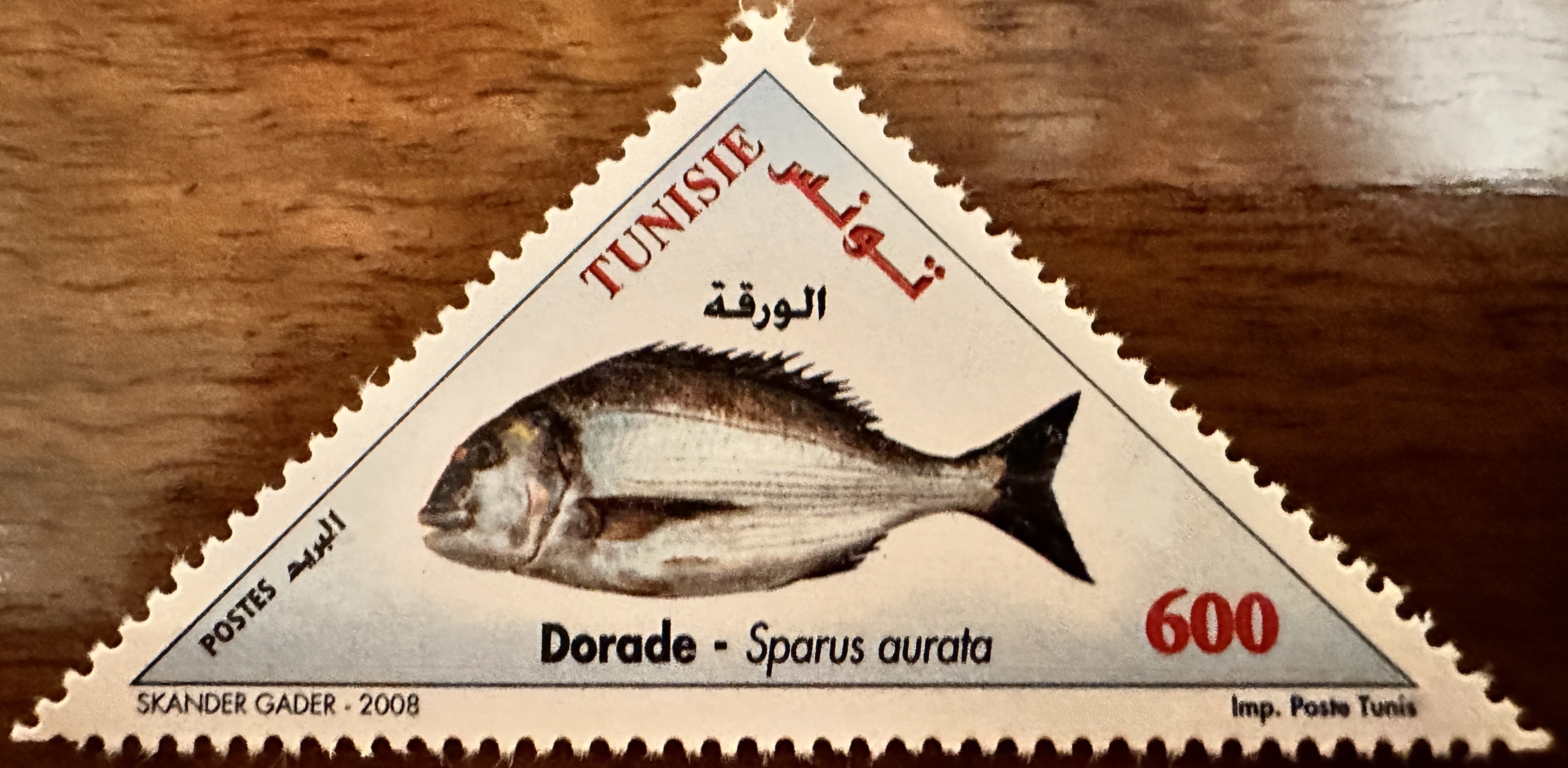 Tunisia Fish 2