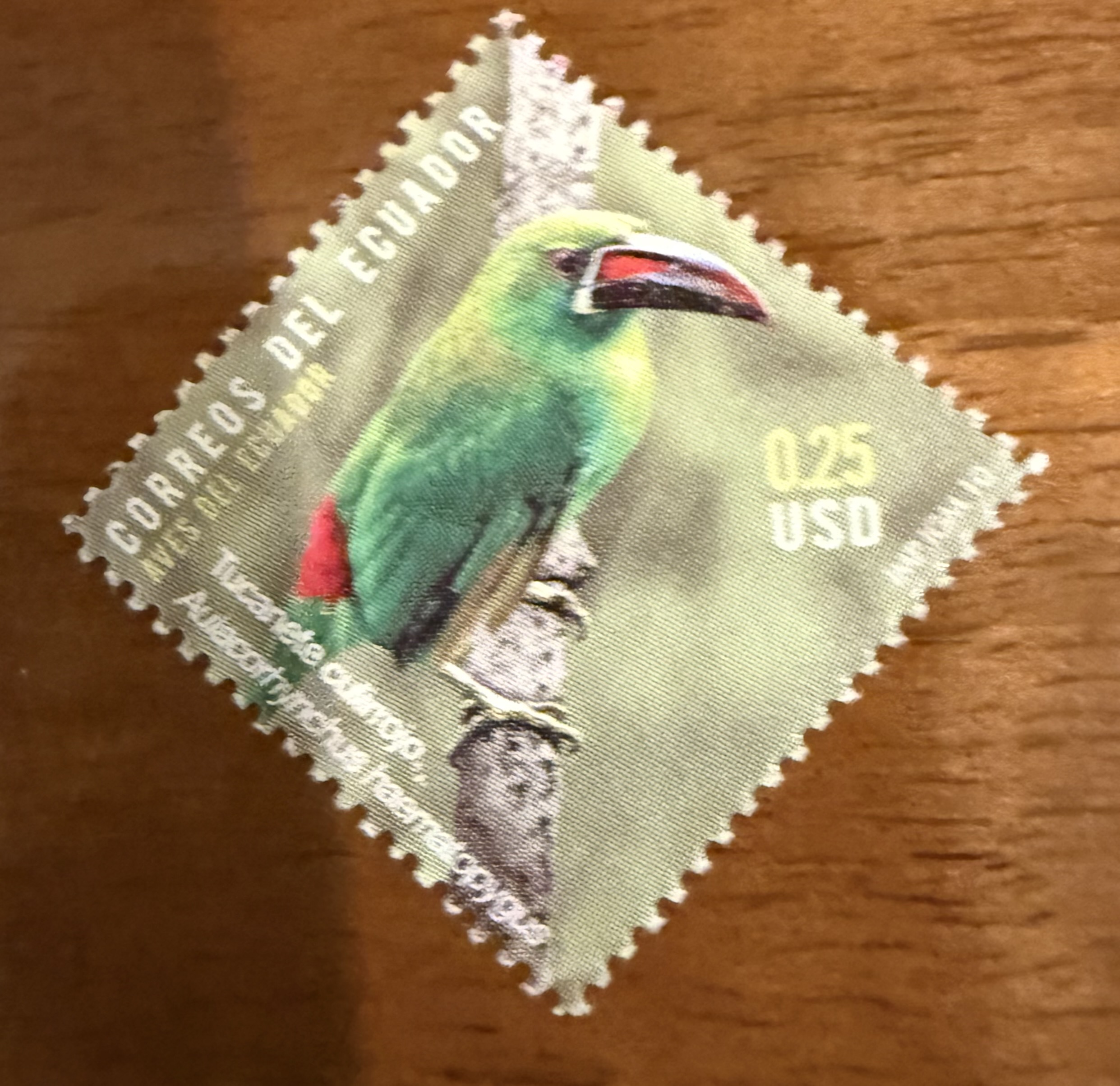 Crimson Rumped Toucanet