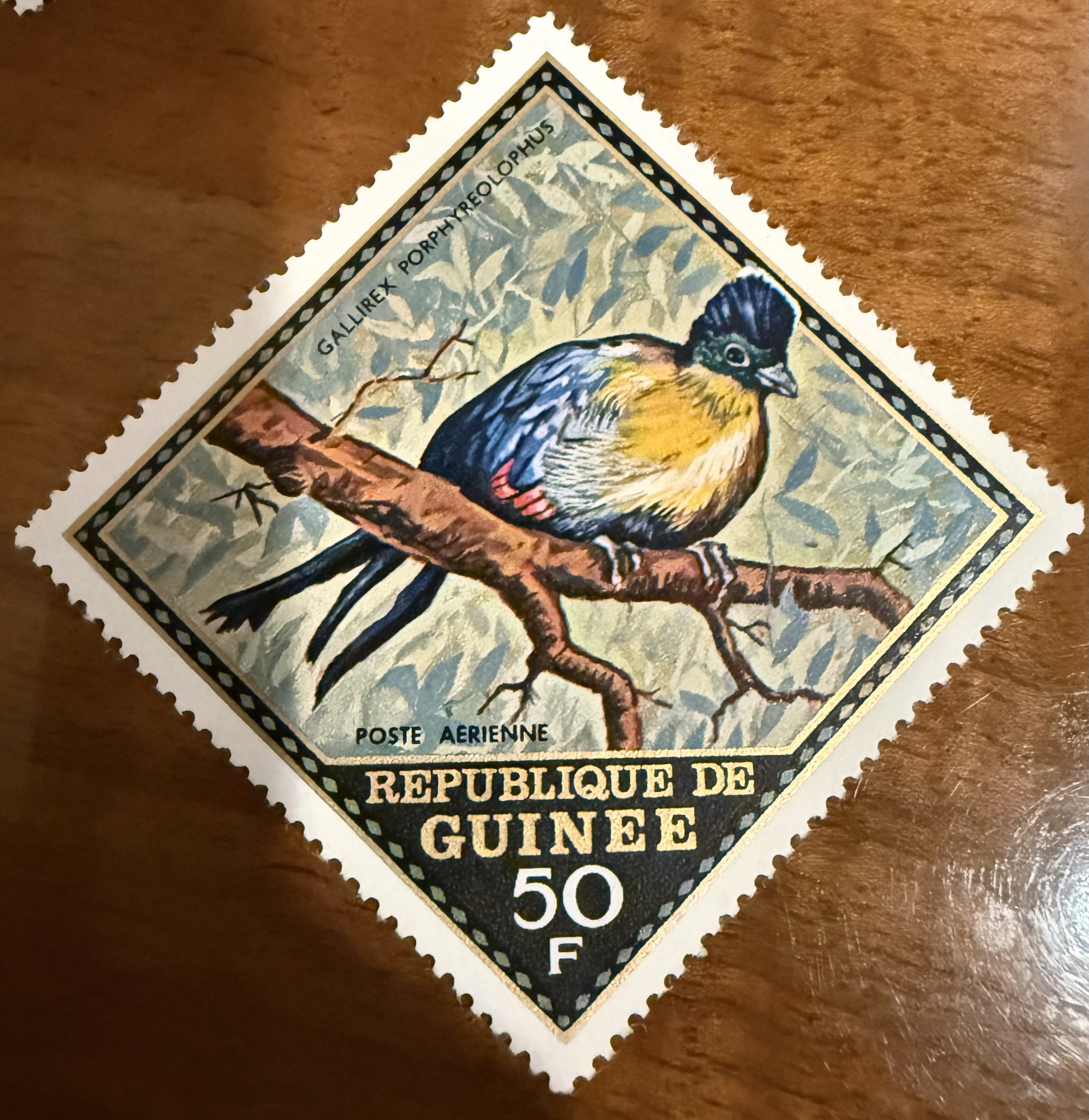 Purple Crested Turaco