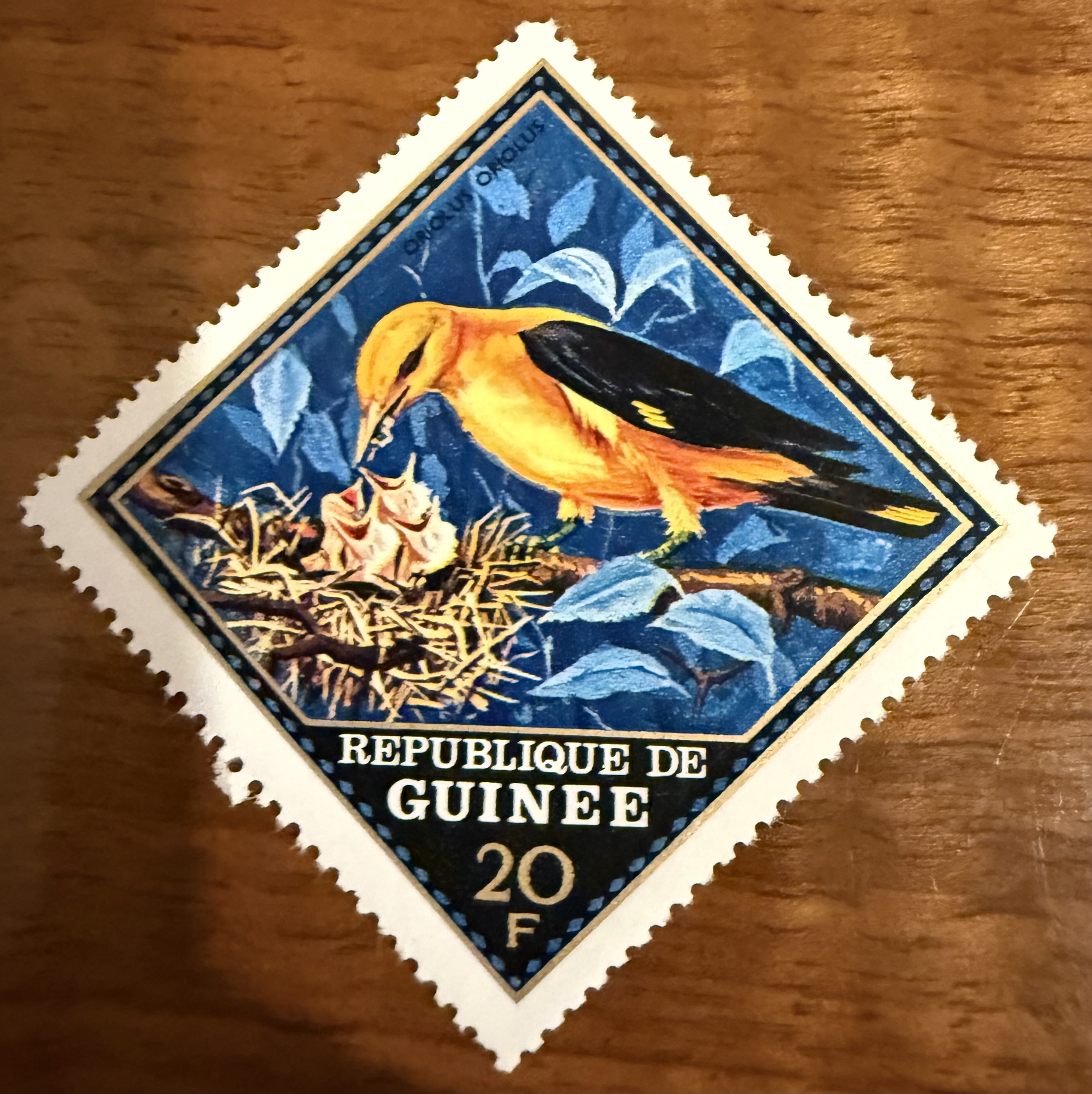 Eurasian Golden Oriole