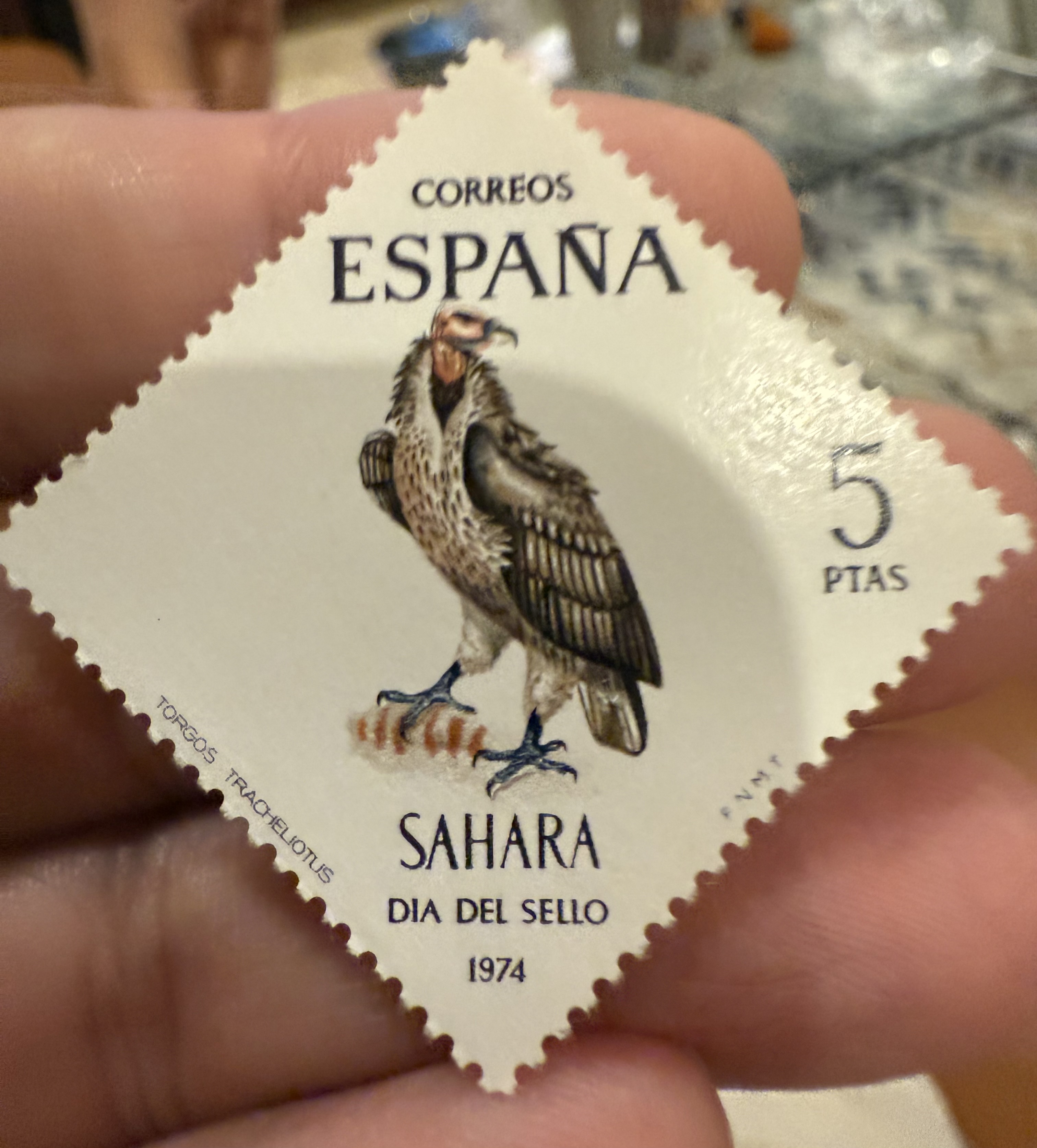 Lappet Faced Vulture