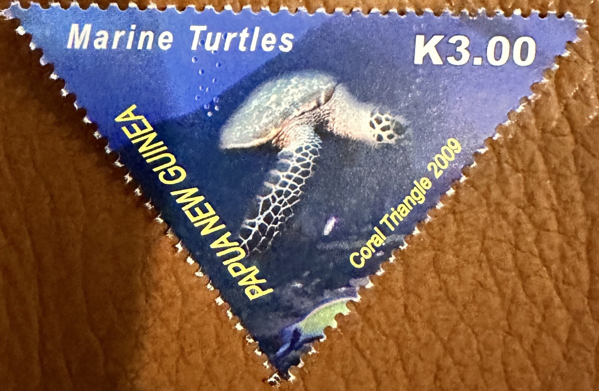 PNG Marine Turtles