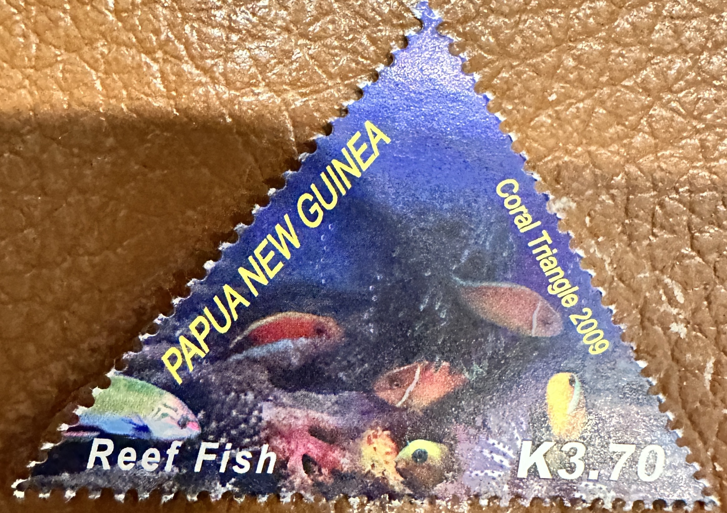 PNG Reef Fish