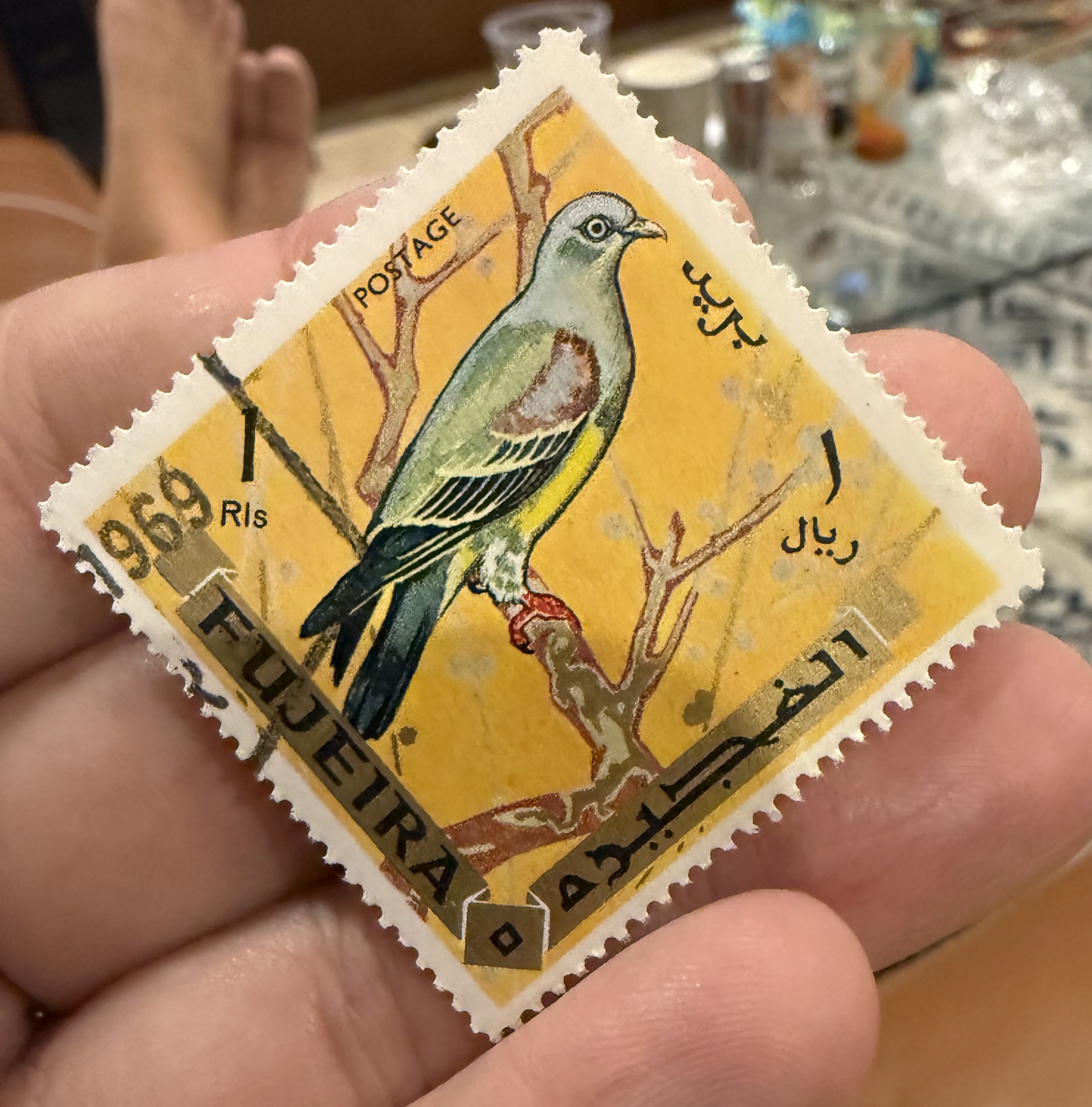 Bruce’s Green Pigeon