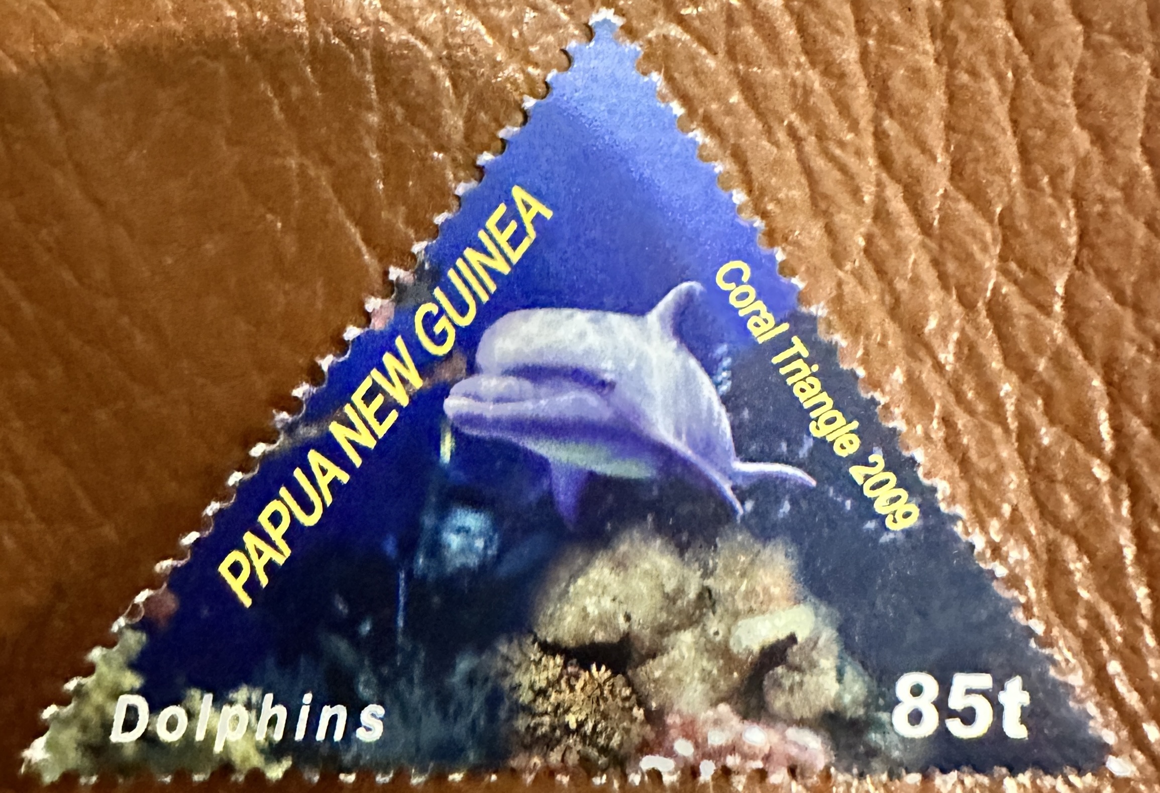 PNG Dolphins