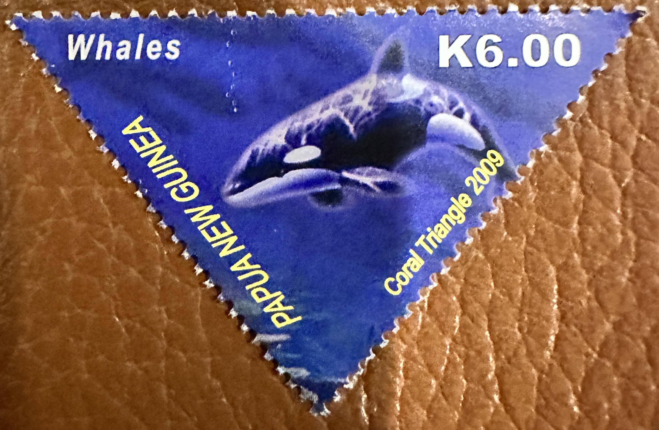 PNG Whales