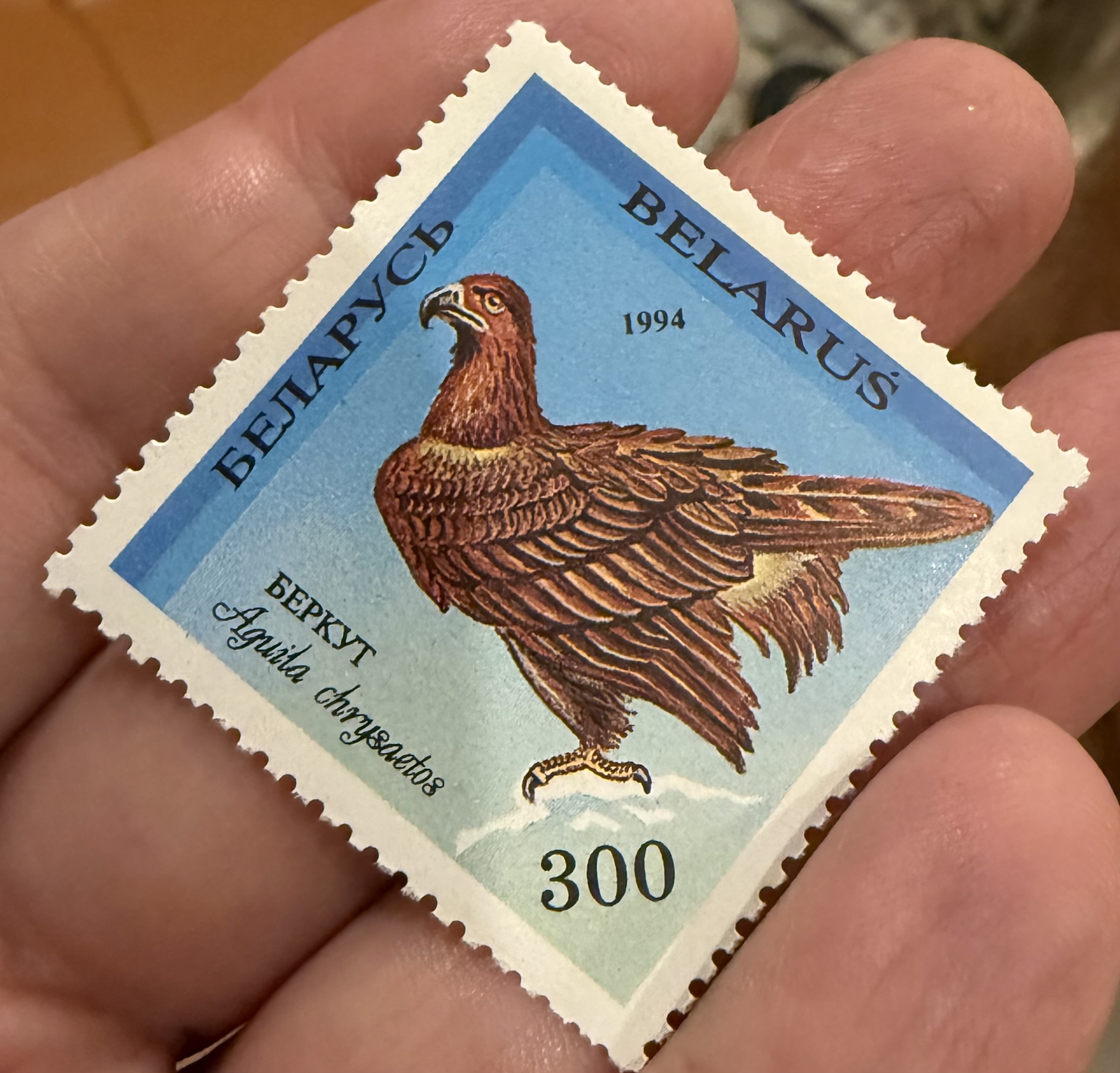 Golden Eagle (Belarus)