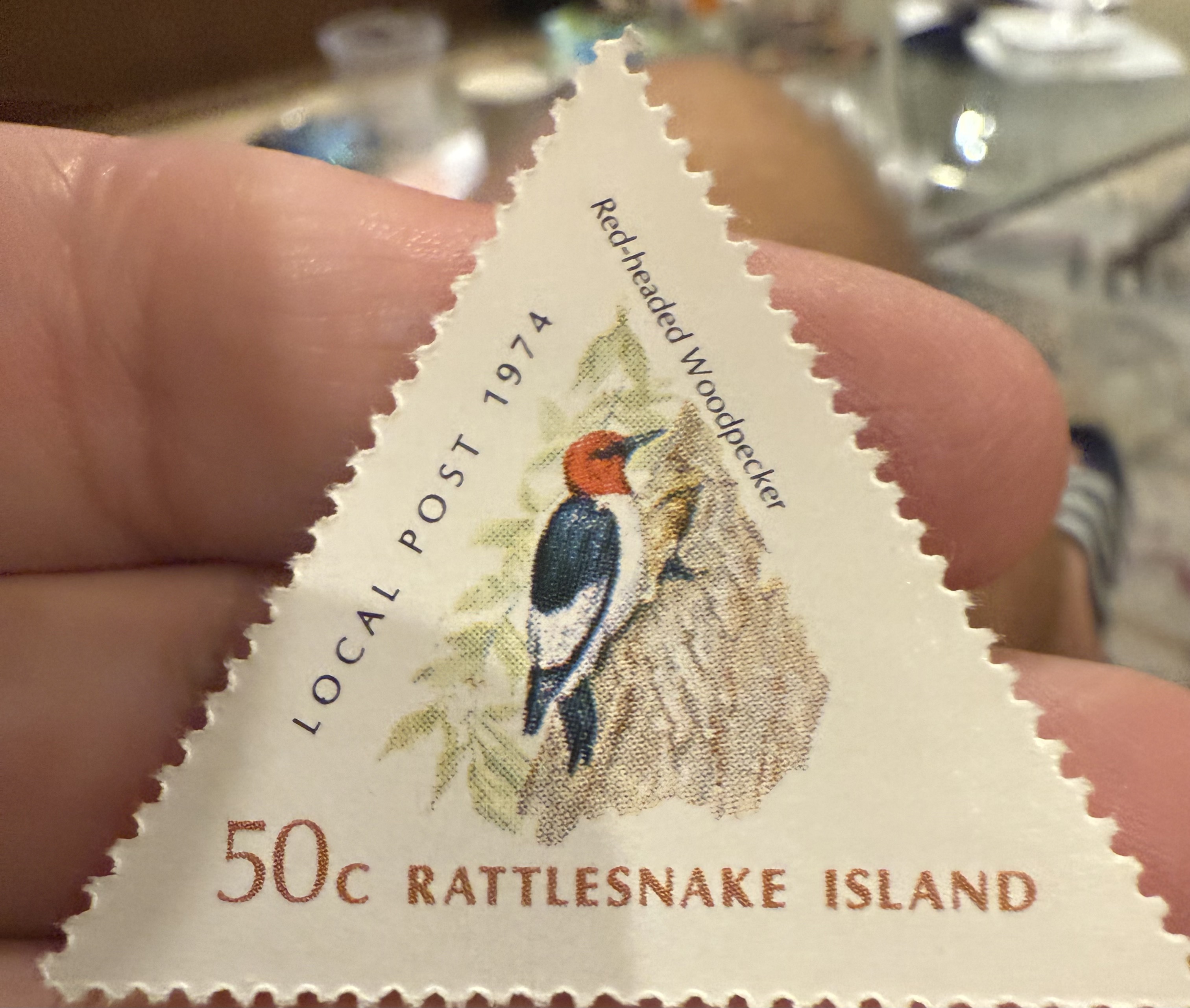 Red Headed Woodpecker ( Rattlesnake)