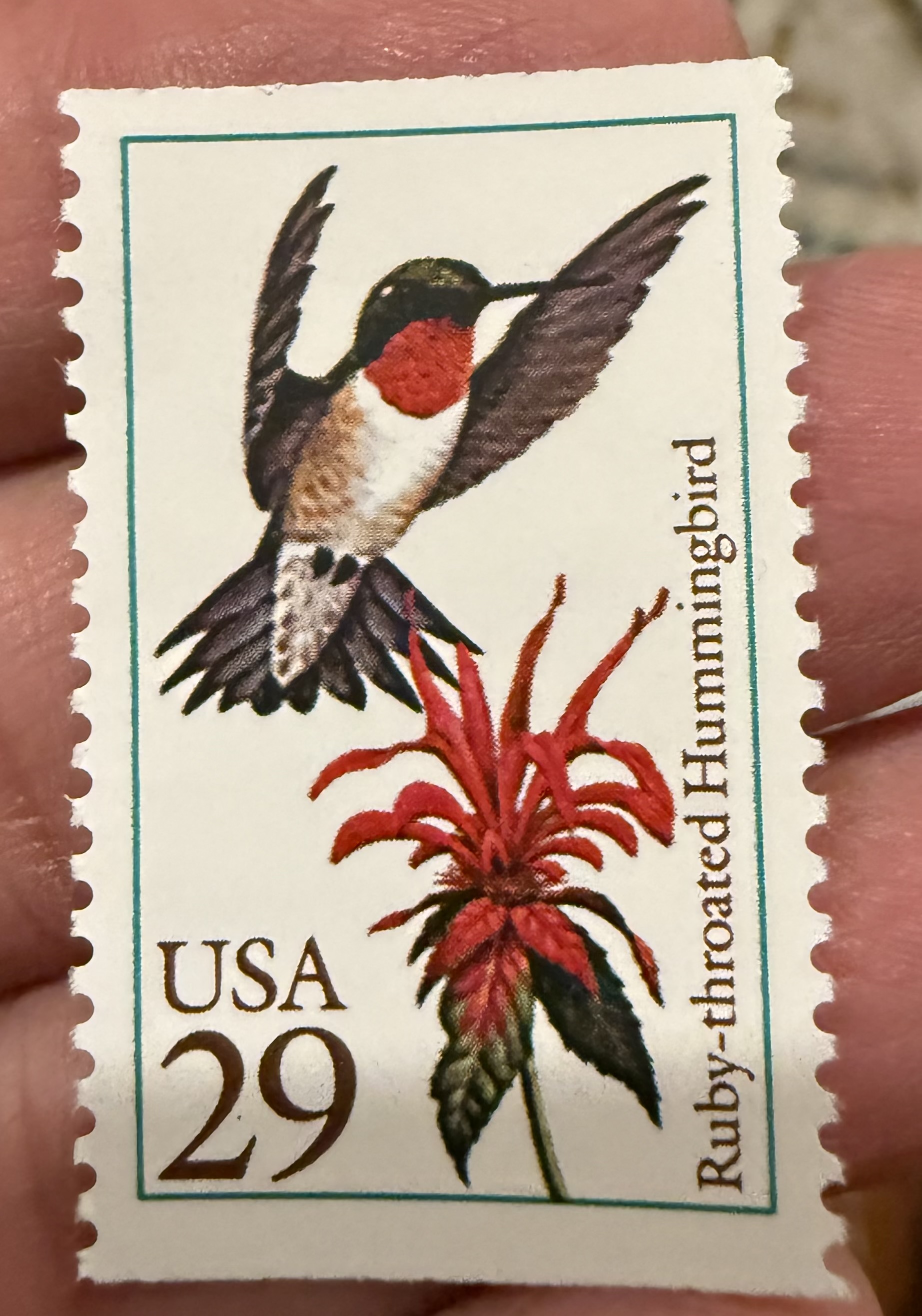 Ruby Throated Hummingbird-USA