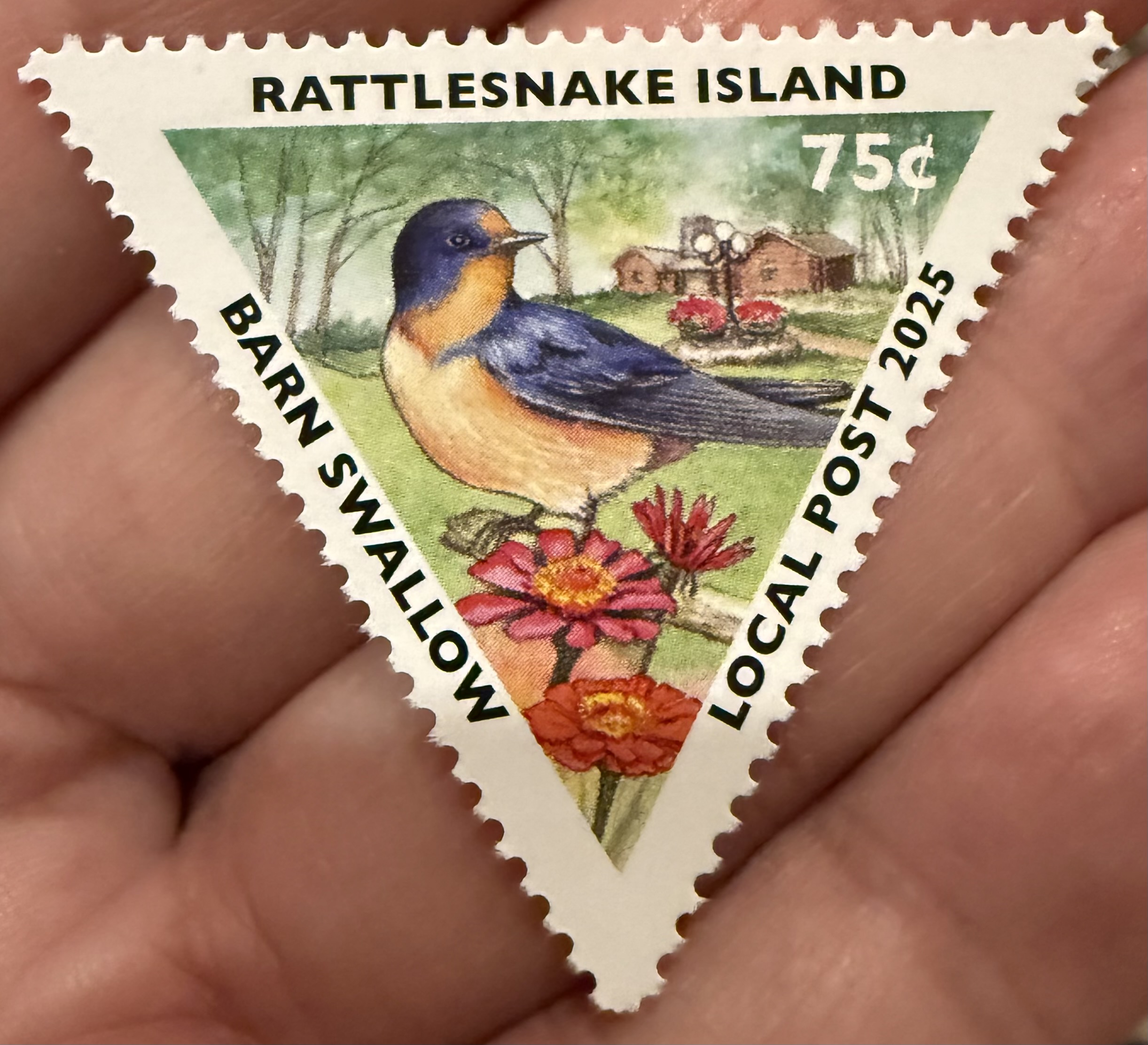 Barn Swallow Rattlesnake