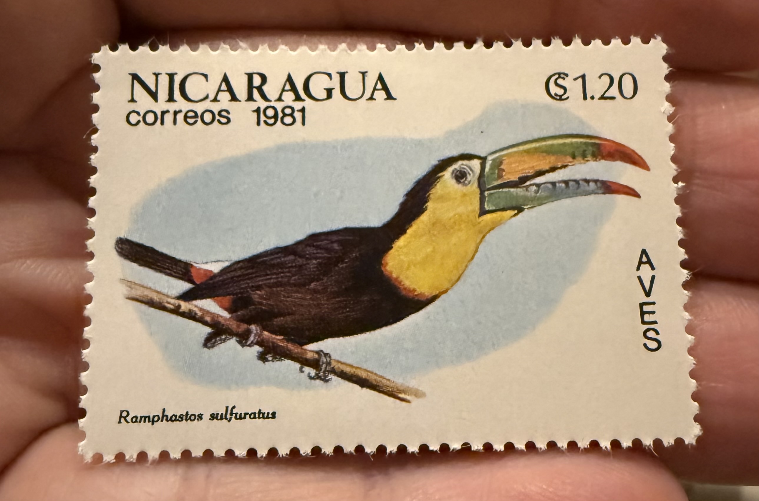Keel Billed Toucan- Nicaragua. 