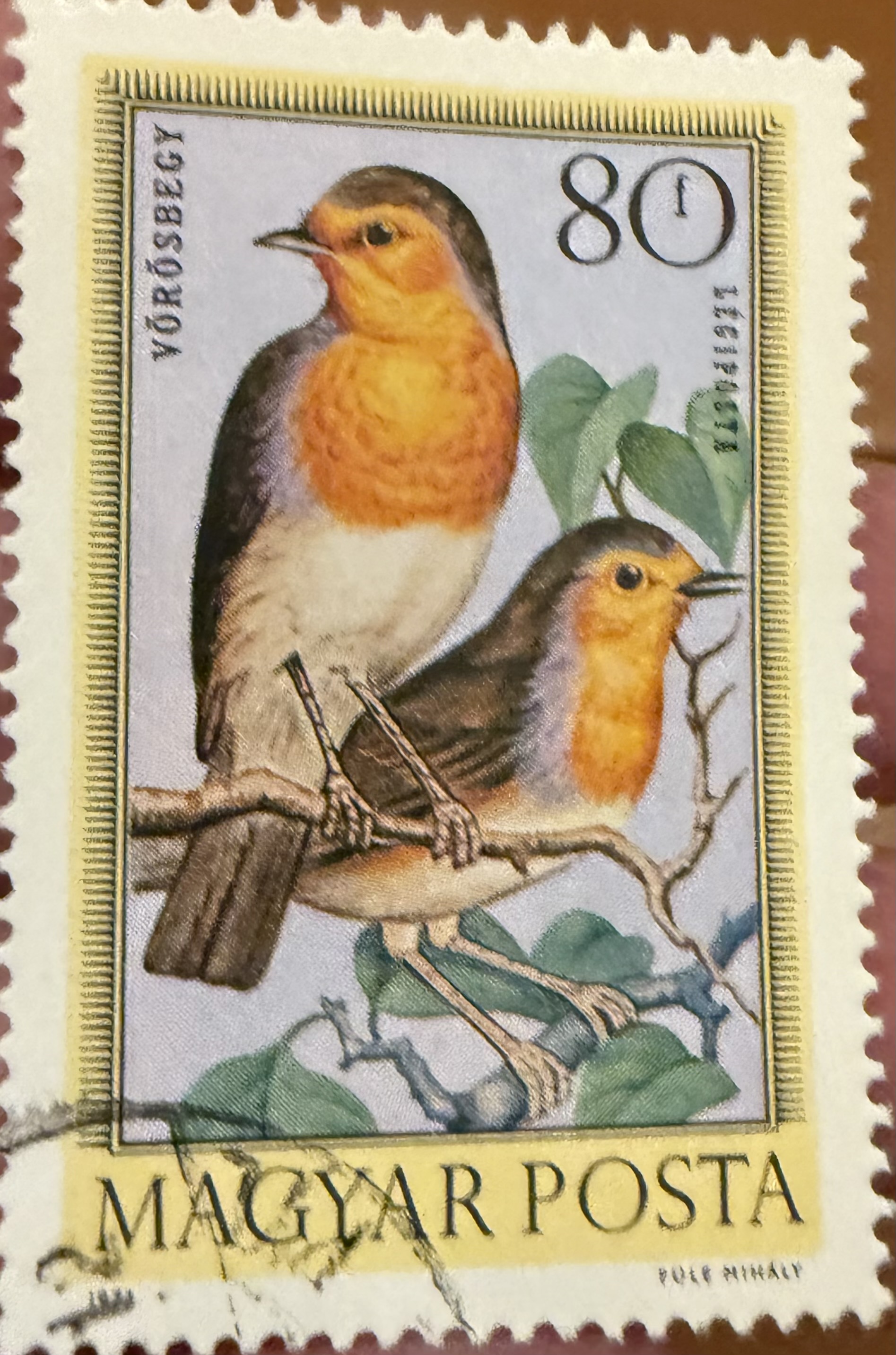 European Robin-Hungary