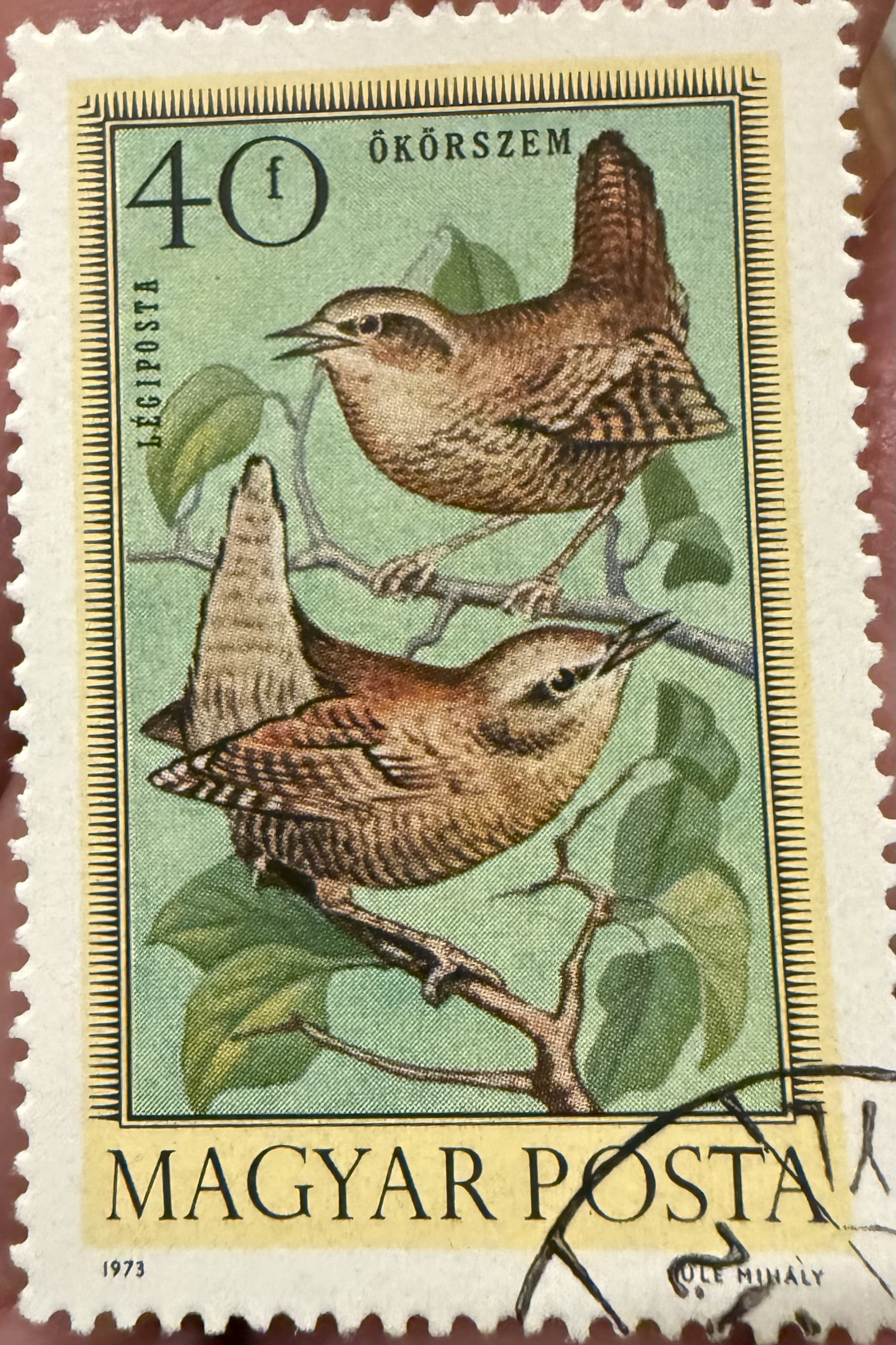 Wrens-Hungary