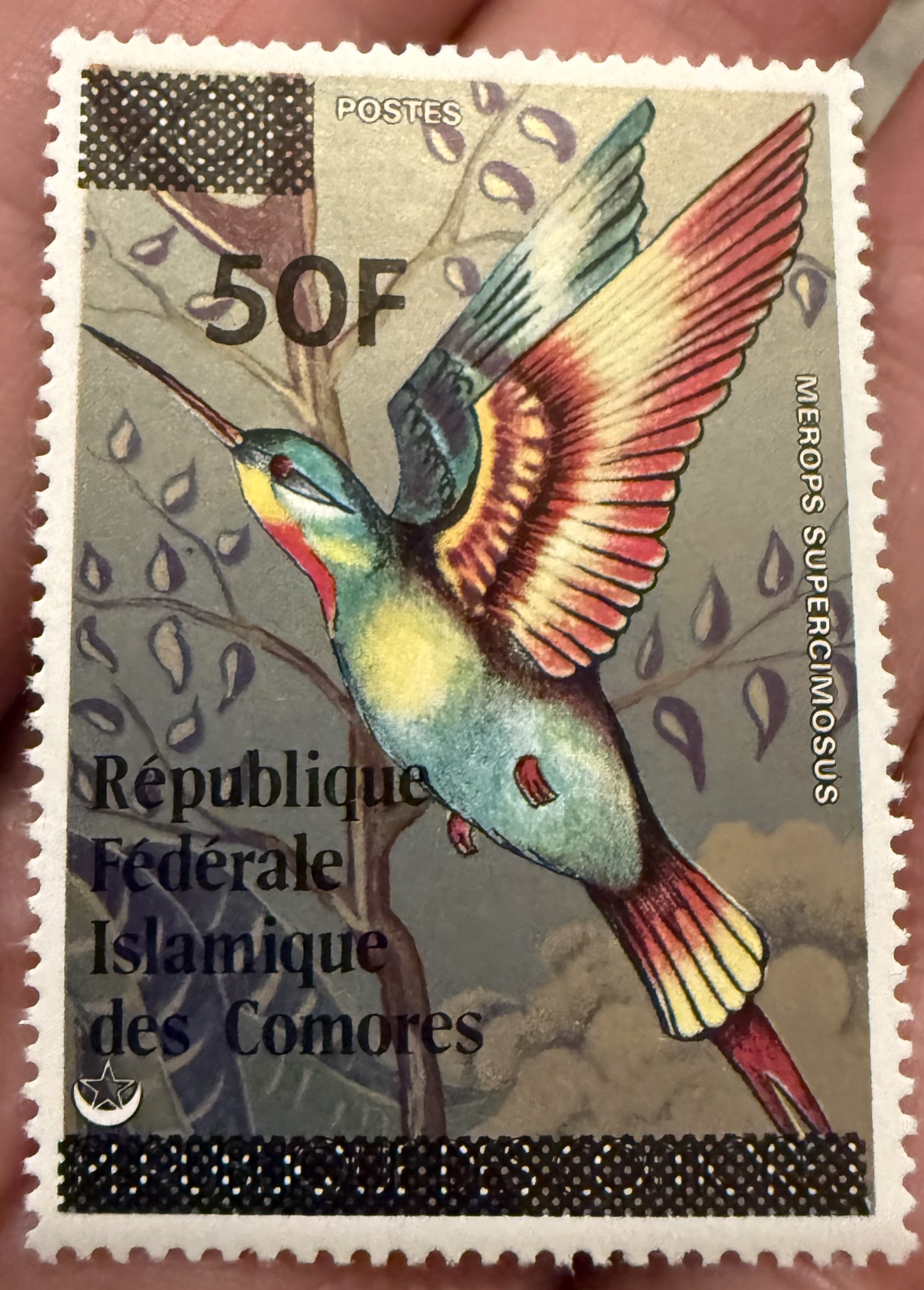 Madagascar Bee Eater