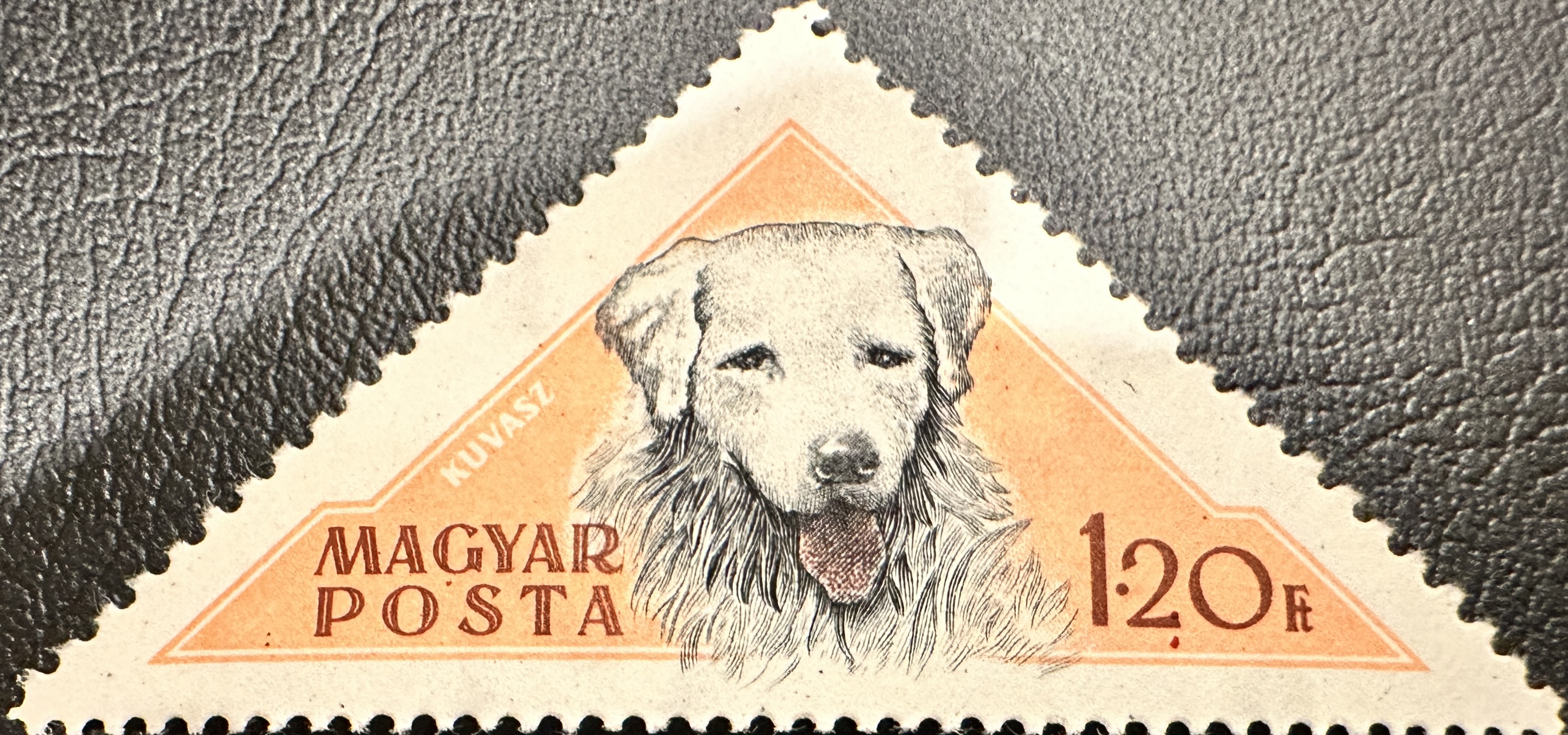 Hungary Dogs 1.2