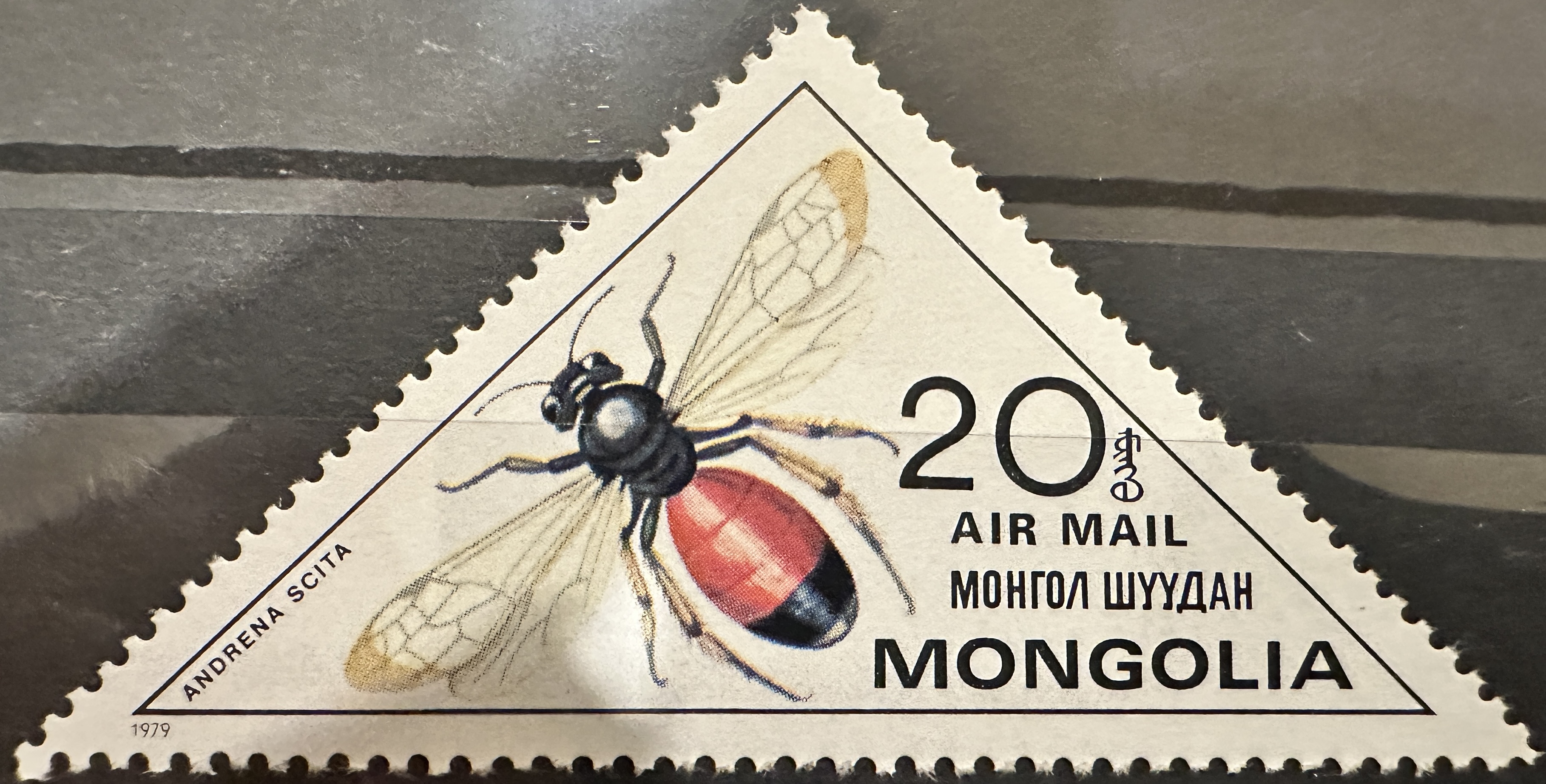 Mongolia Bees 20