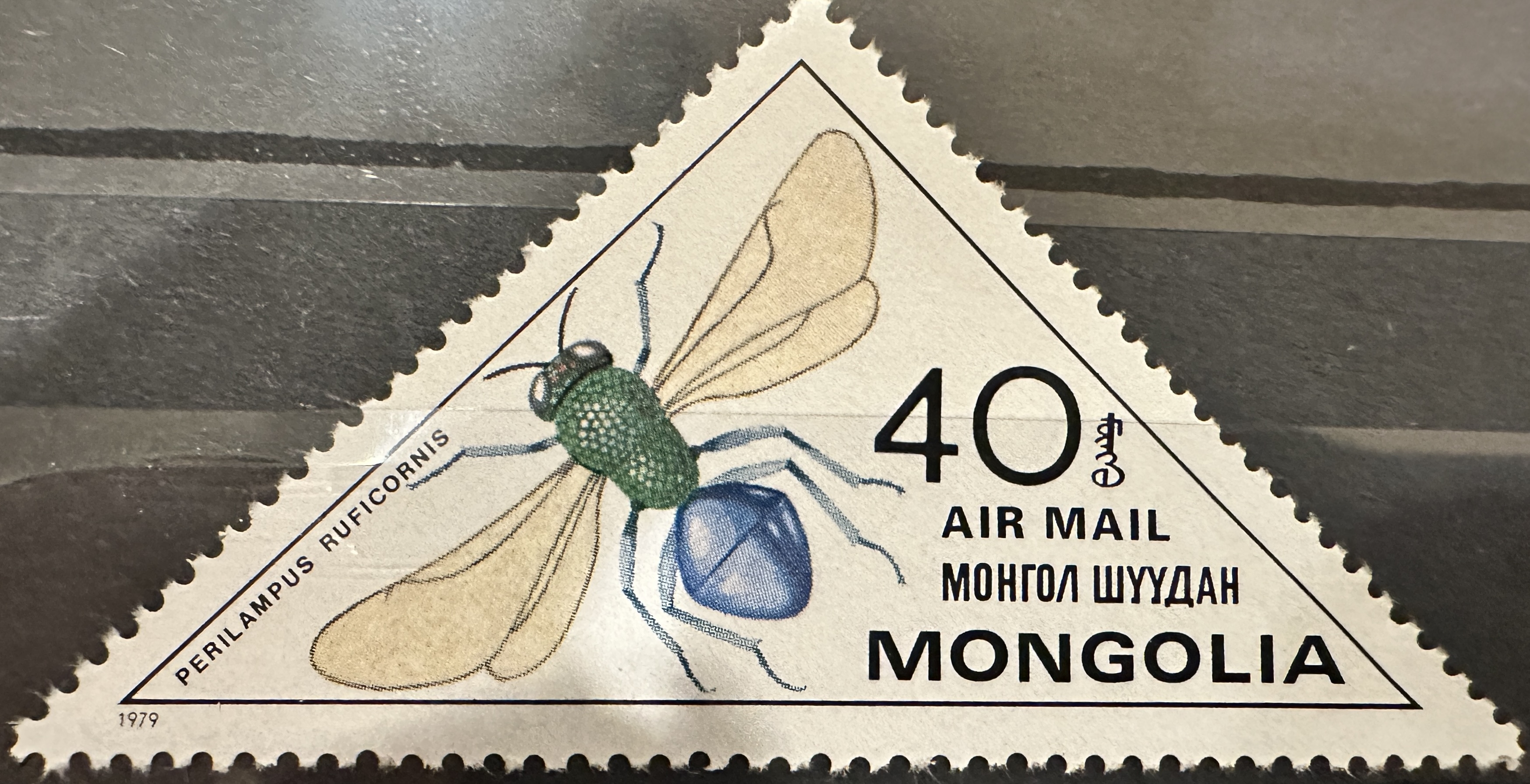 Mongolia Bees 40