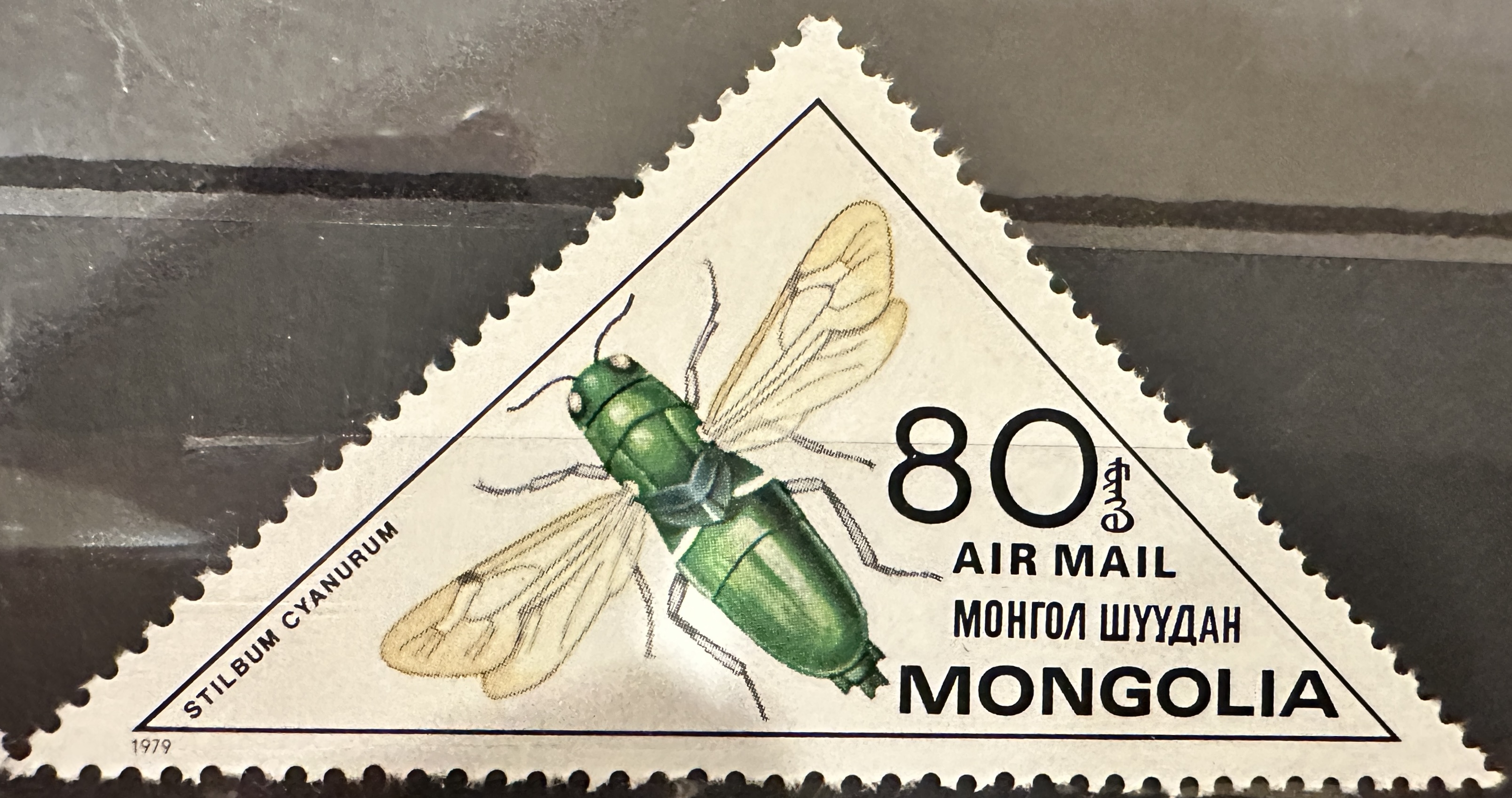 Mongolia Bees 80