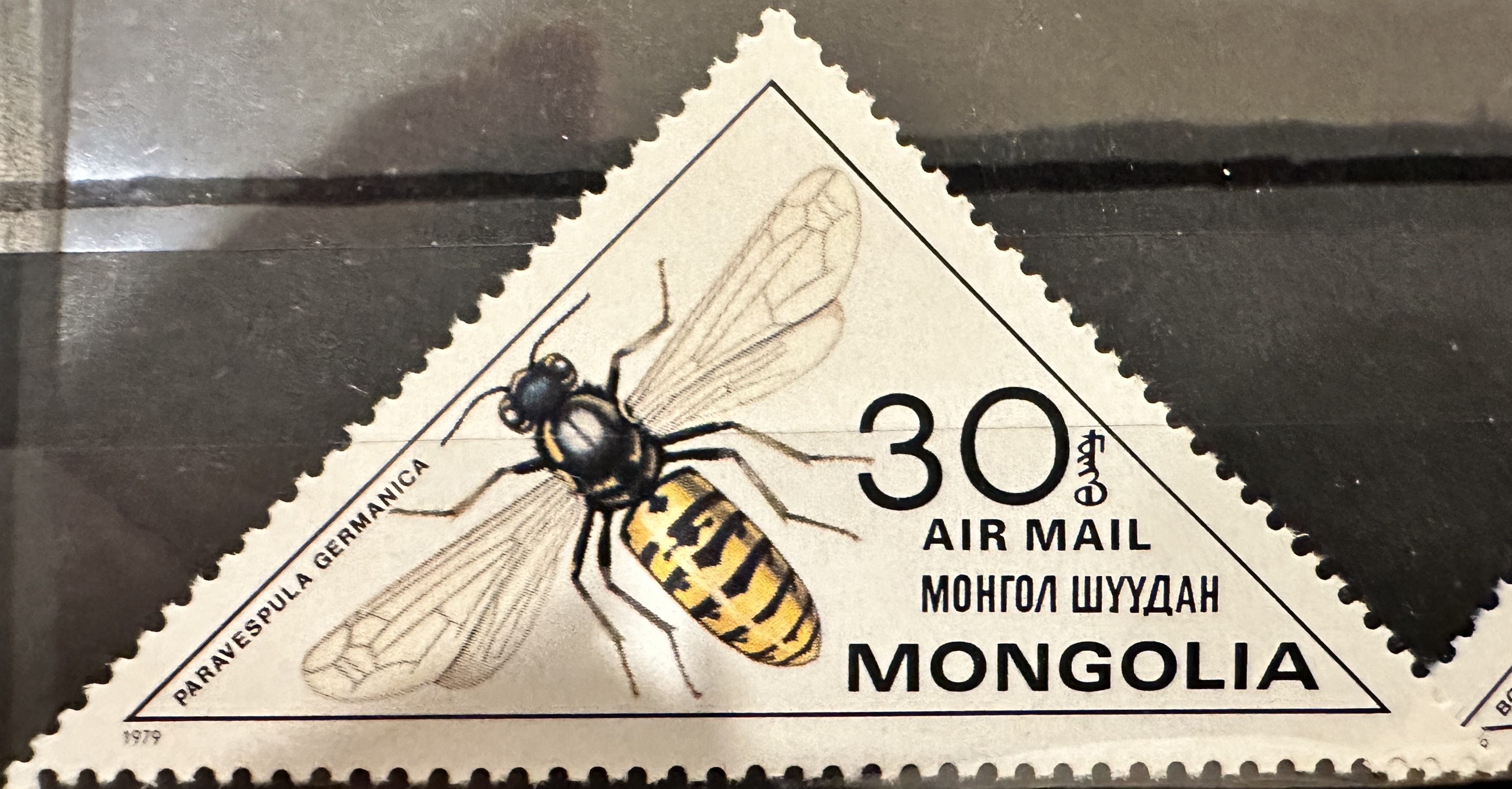 Mongolia Bees 30