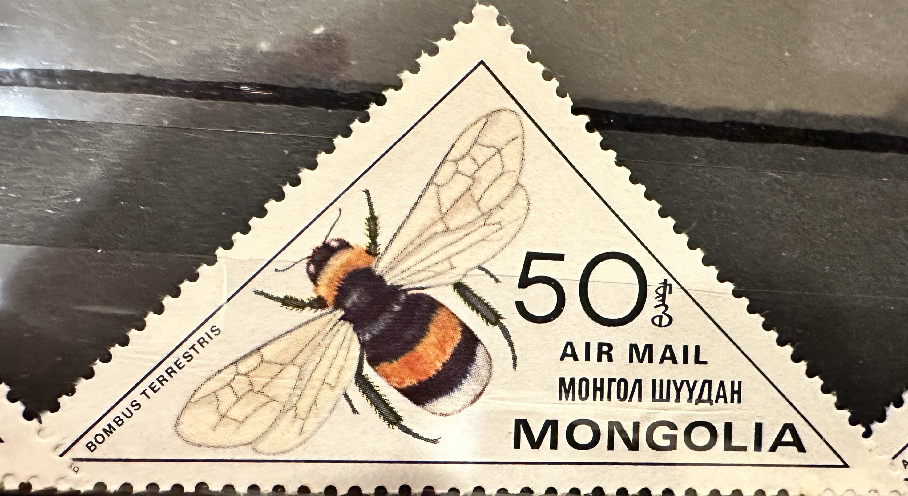 Mongolia Bees 50