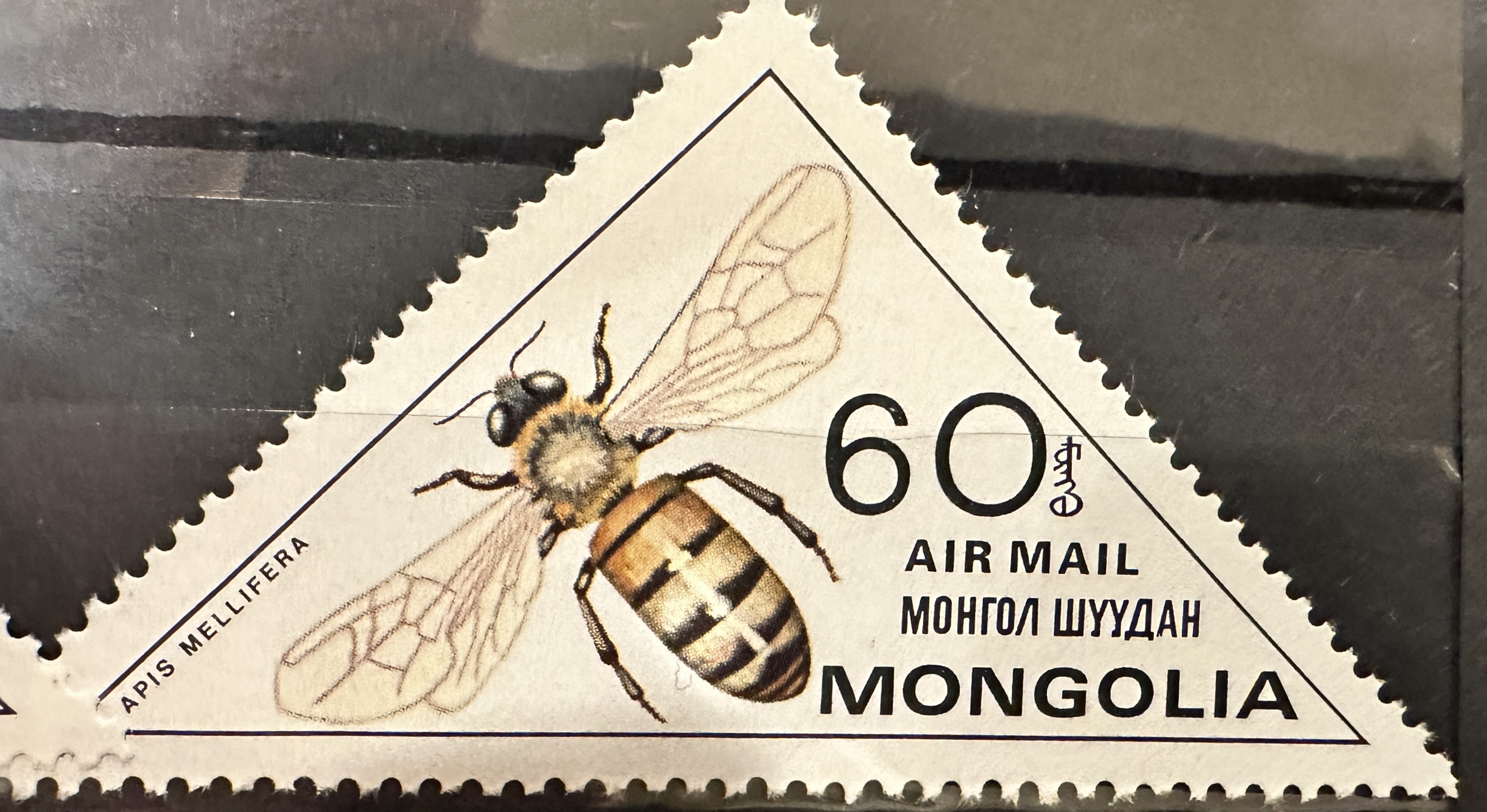 Mongolia Bees 60