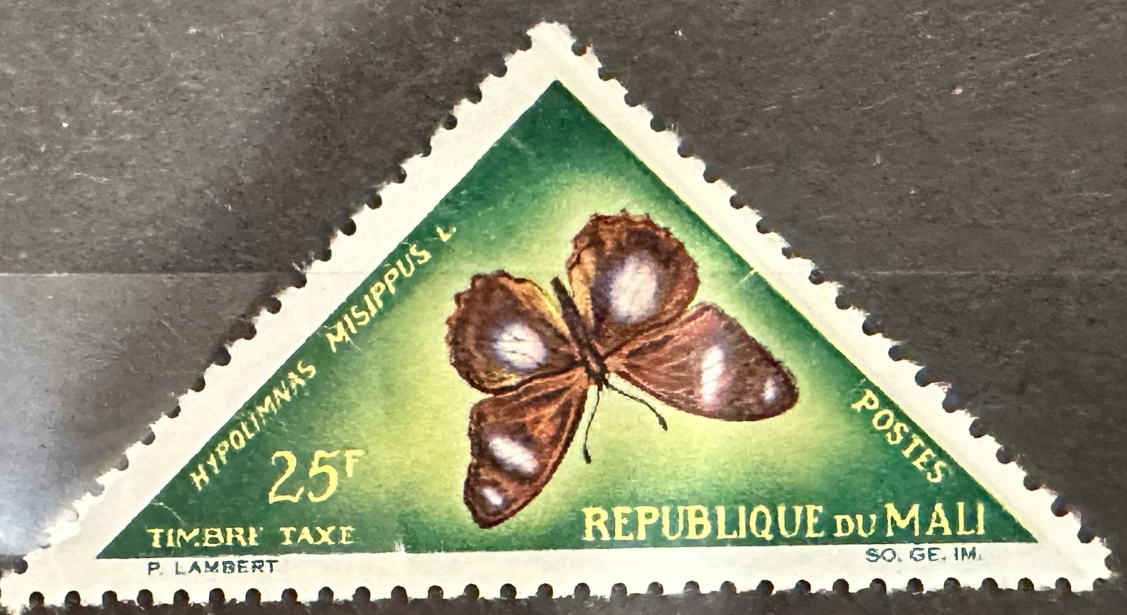 Mali Butterfly 25