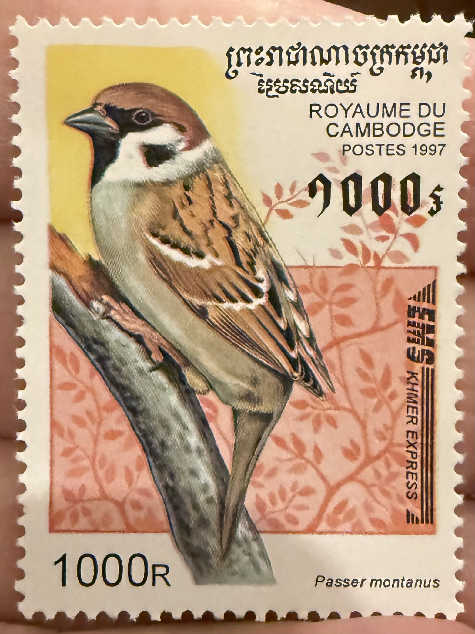 Eurasian Tree Sparrow-1997
