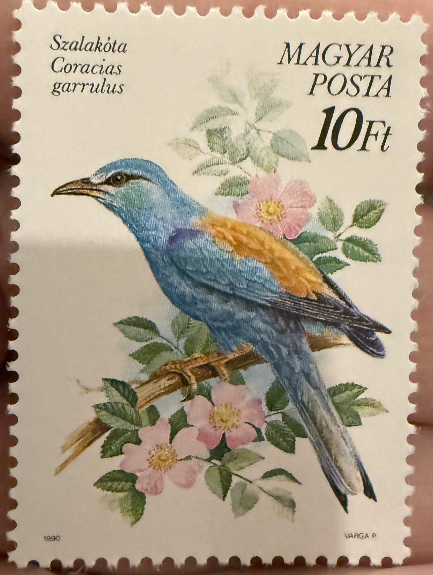 European Roller