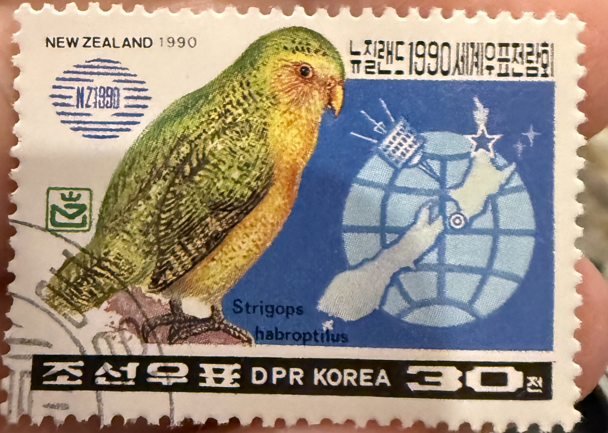 Kakapo North Korea