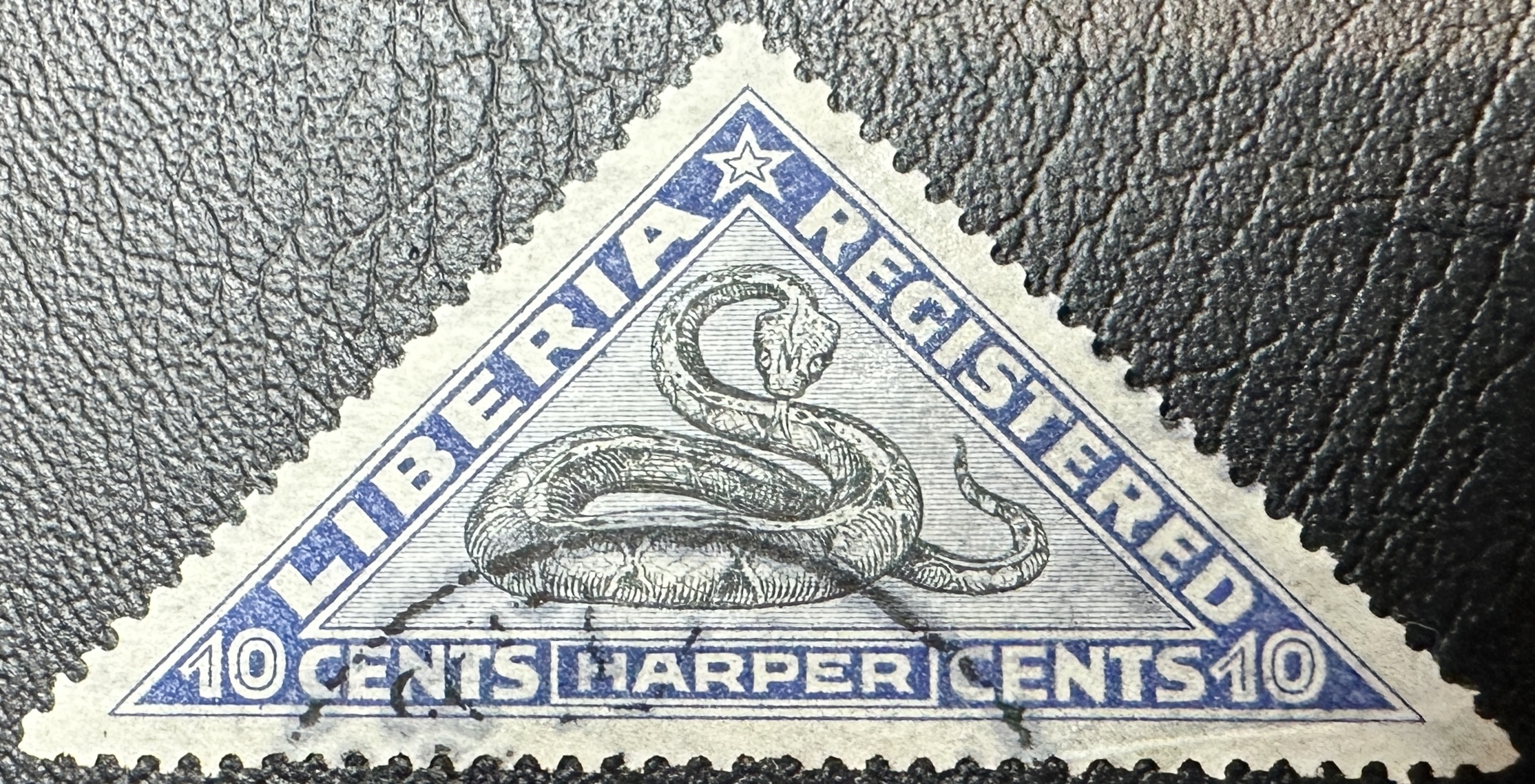 Liberia Snake Blue